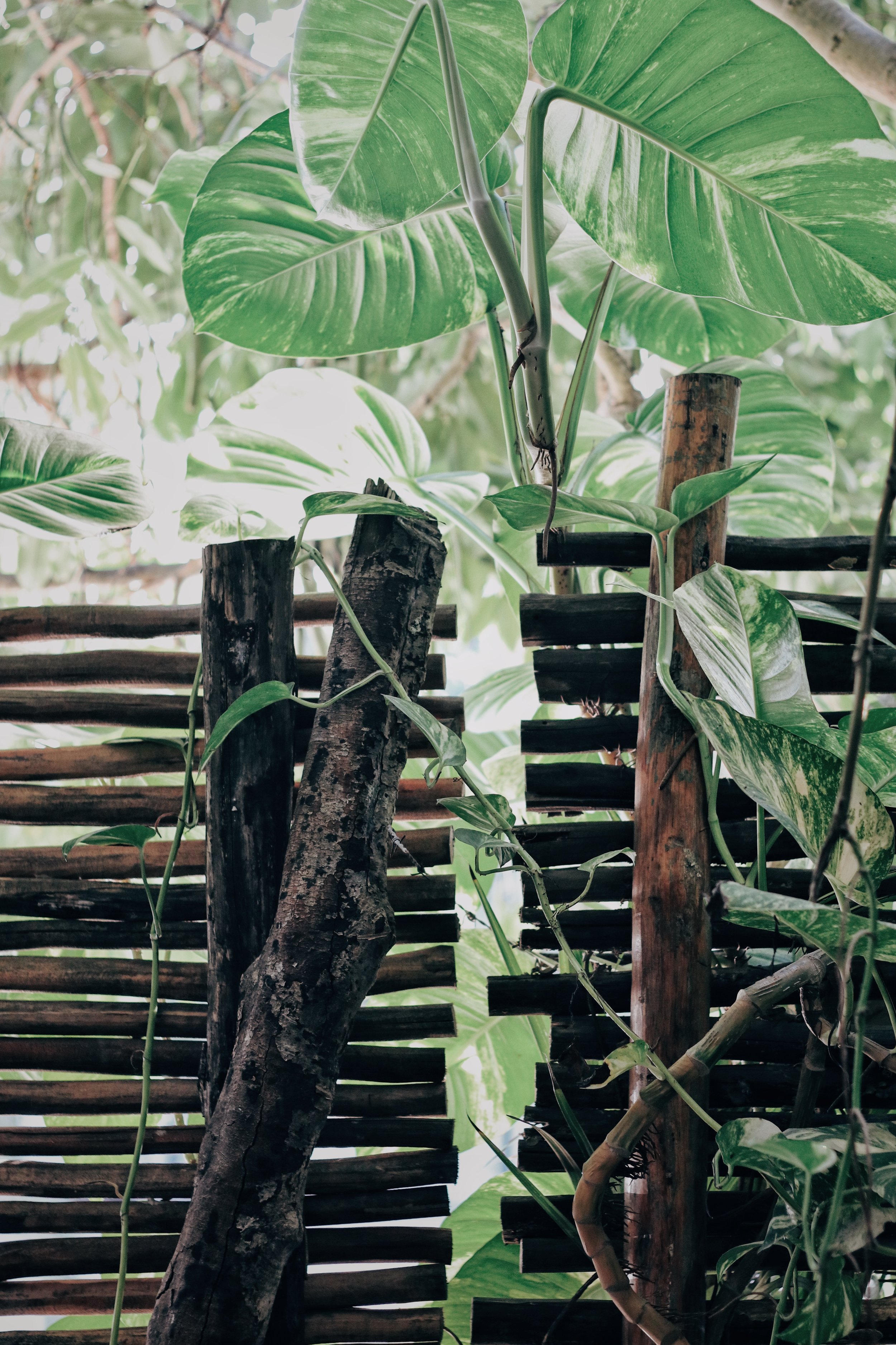 FullSizeRender_VSCO 38.JPG