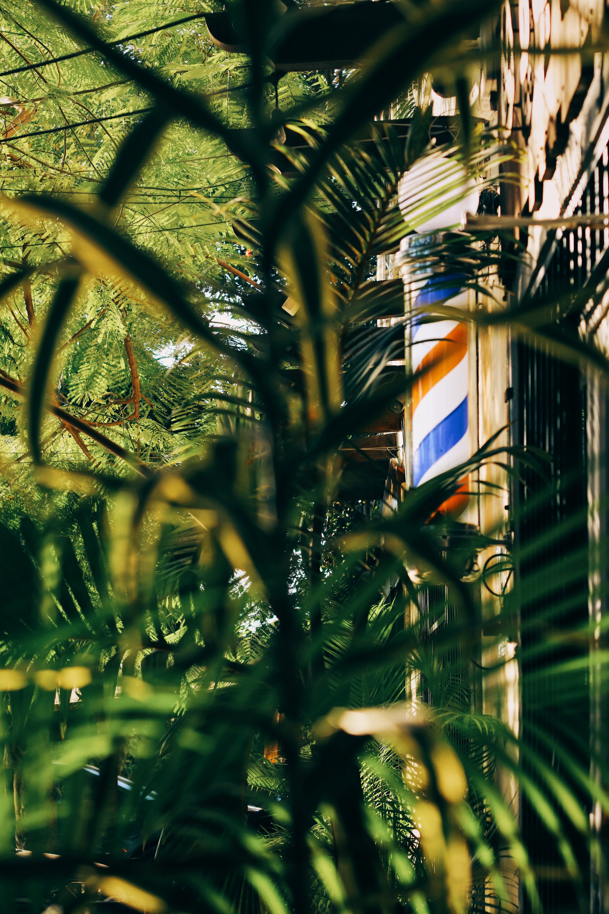 FullSizeRender_VSCO 48.JPG