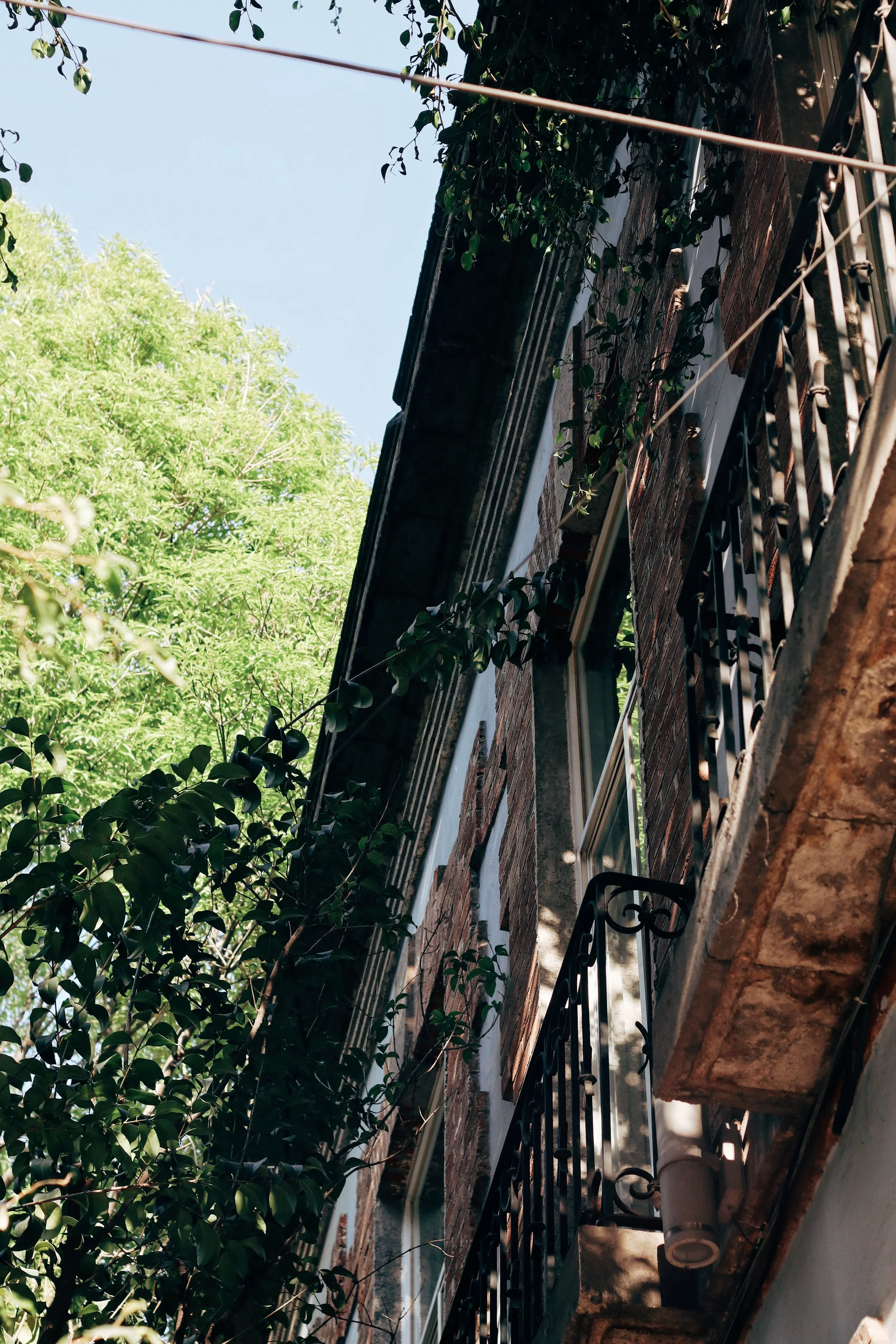 FullSizeRender_VSCO 88.JPG