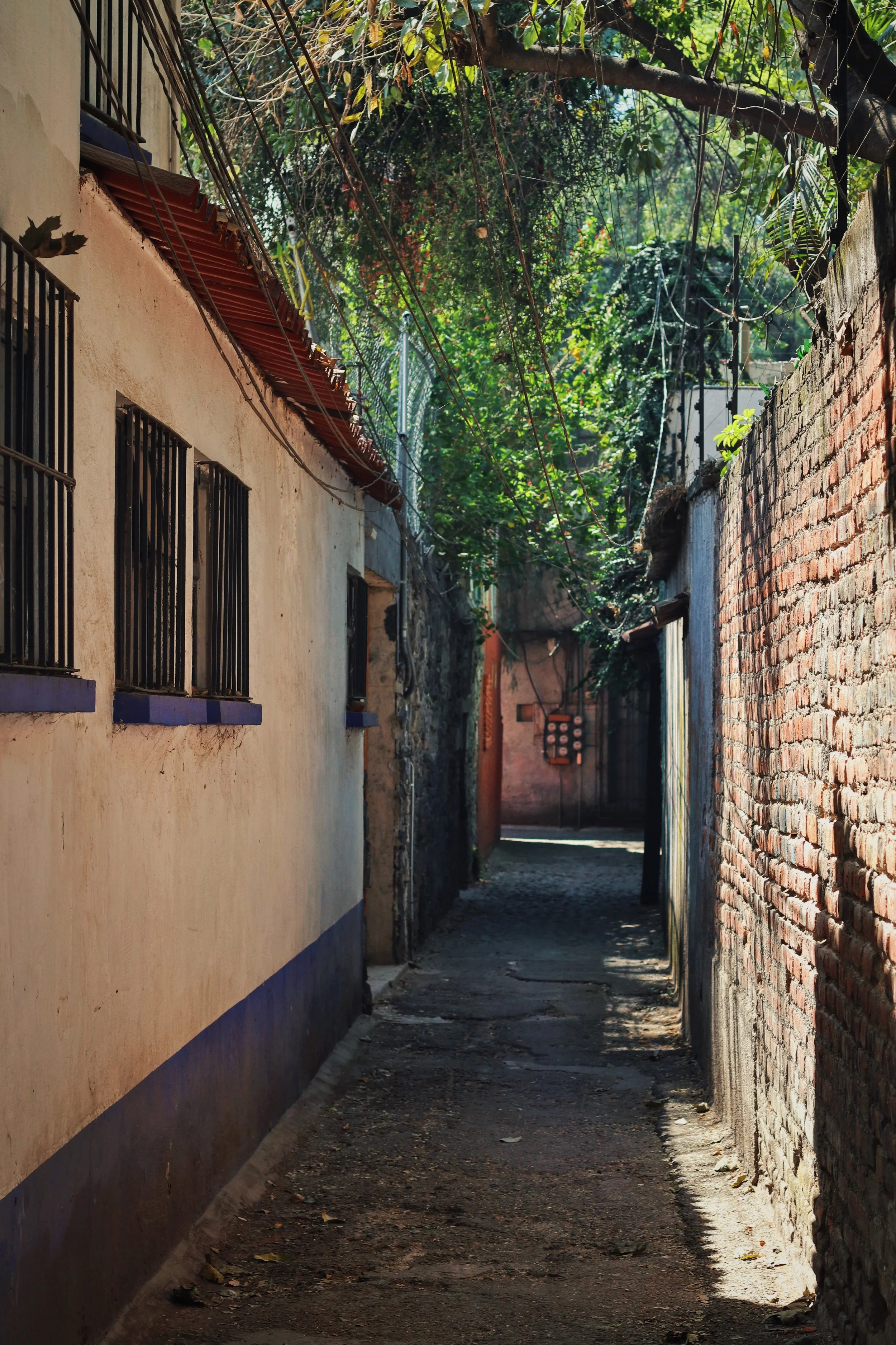 FullSizeRender_VSCO 96.JPG