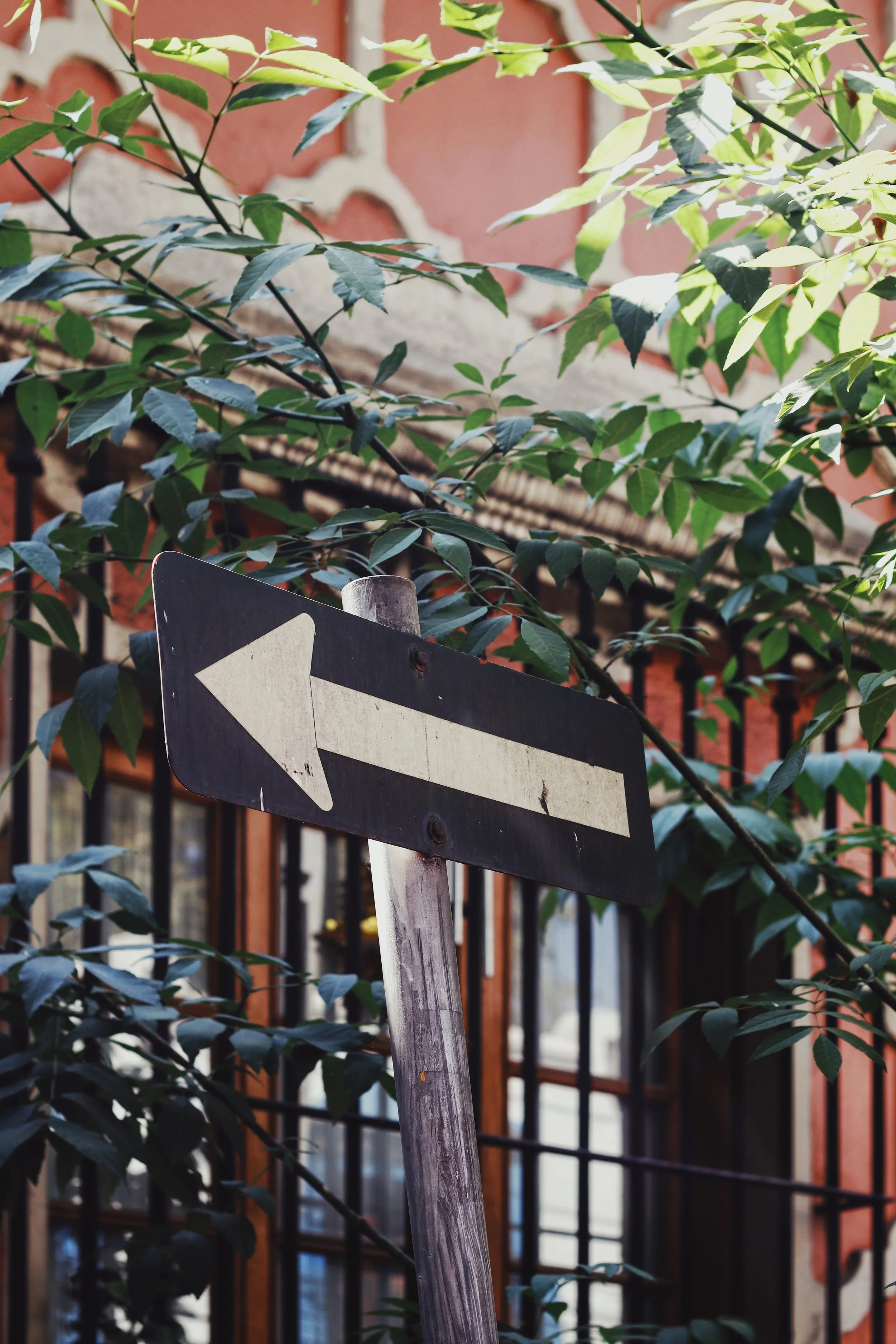 FullSizeRender_VSCO 99.JPG