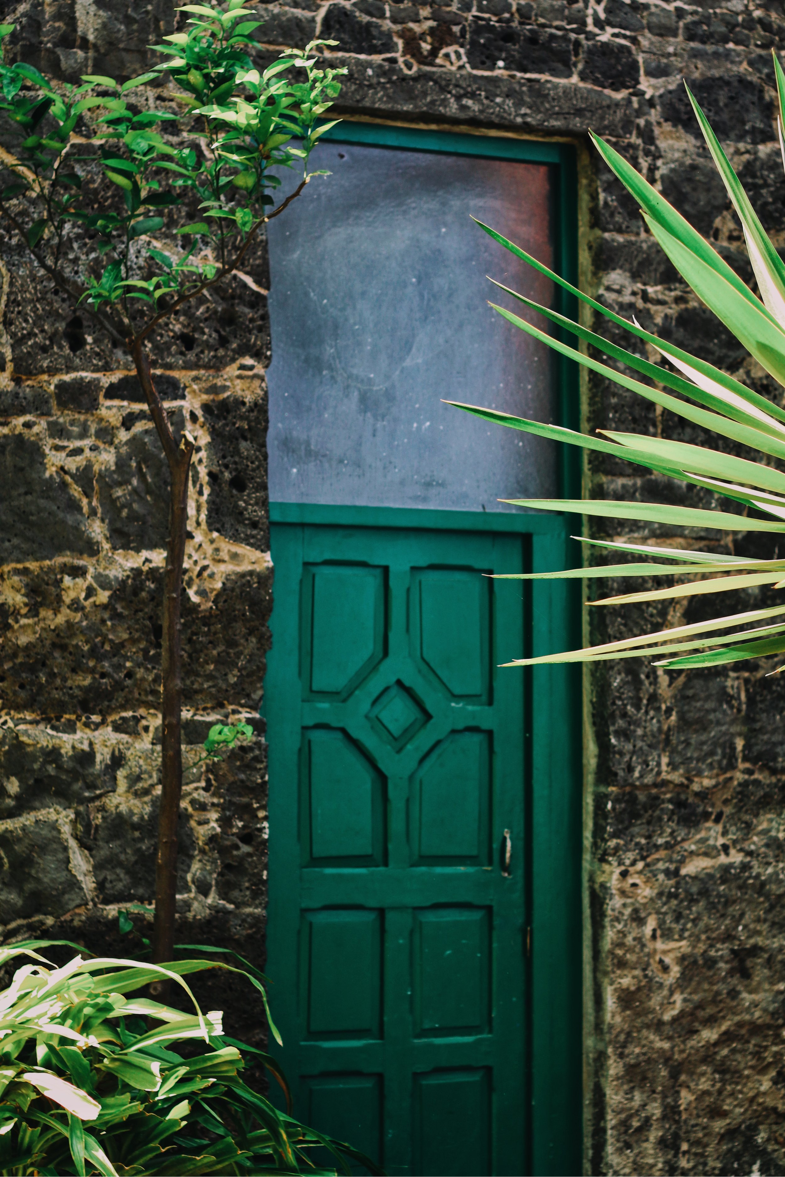 FullSizeRender_VSCO 126.JPG