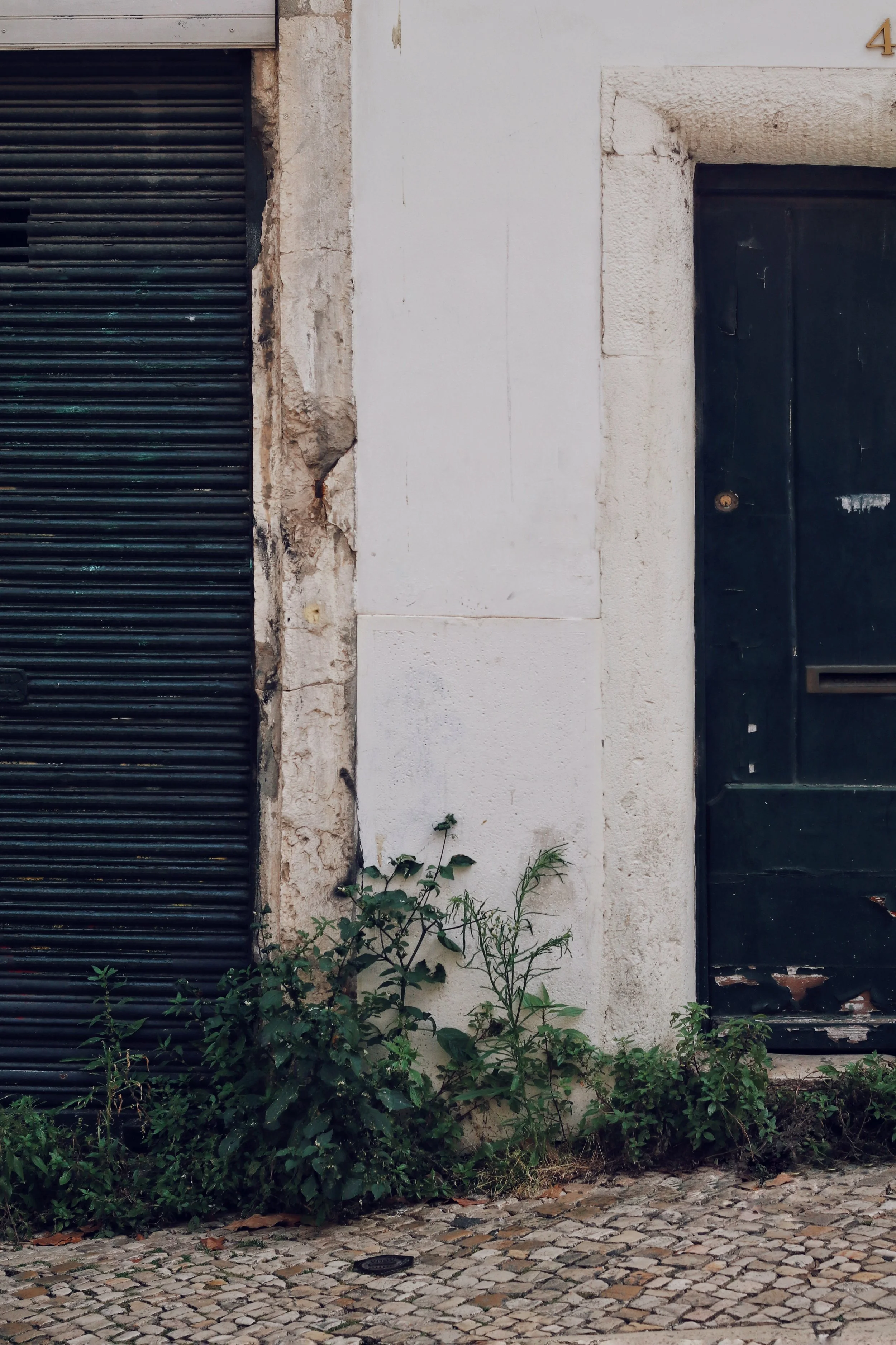 FullSizeRender_VSCO 9.JPG