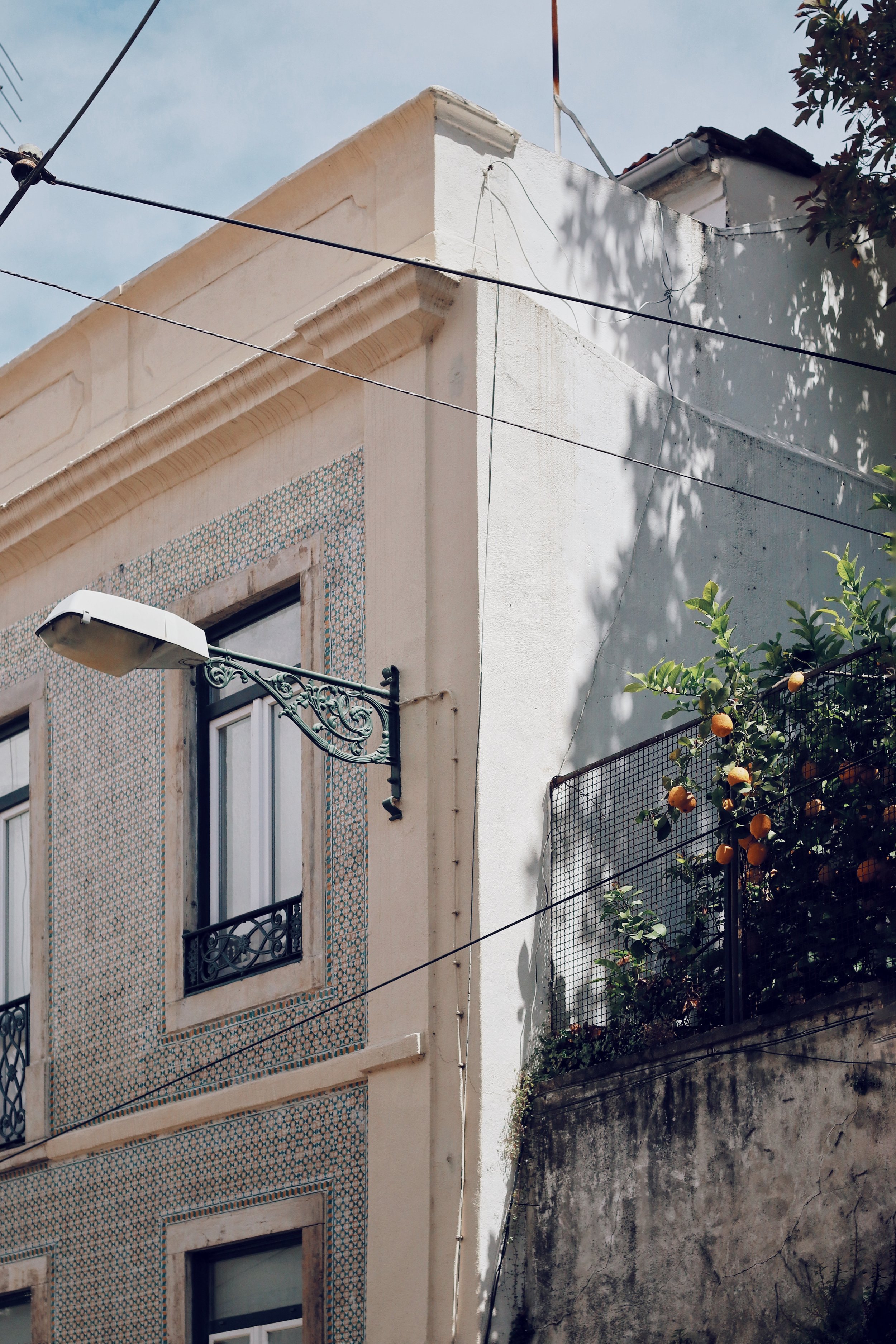 FullSizeRender_VSCO 10.JPG