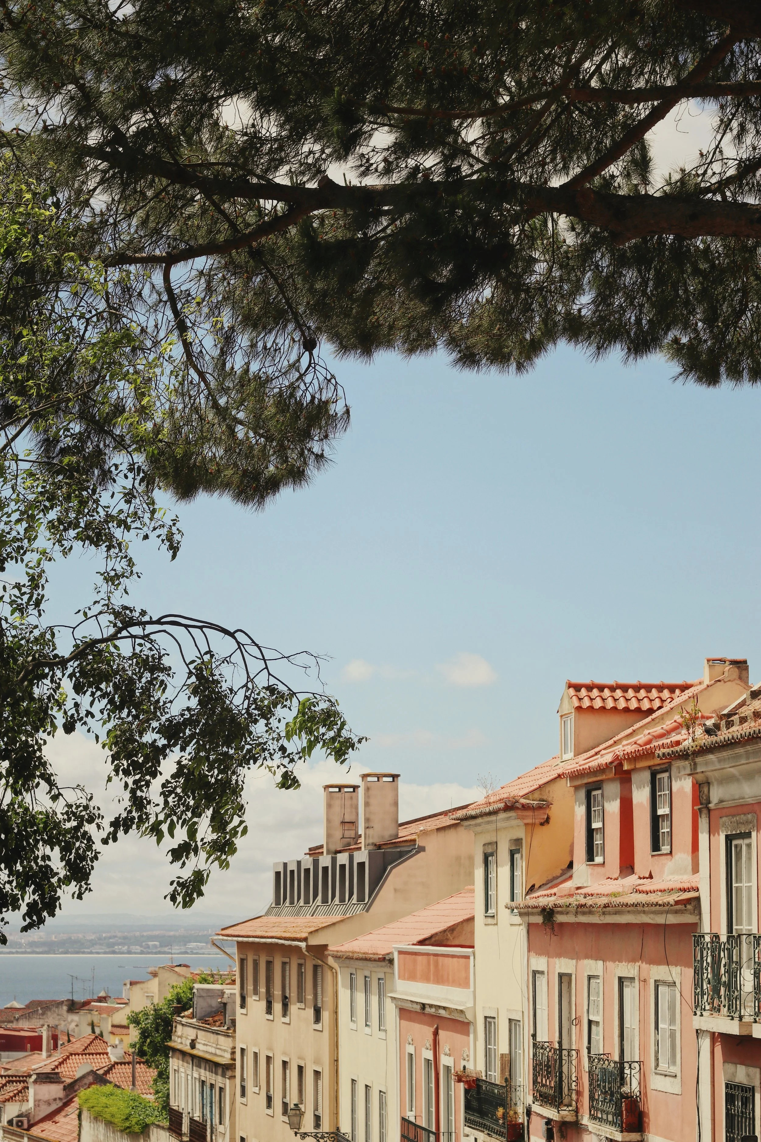 FullSizeRender_VSCO 18.JPG