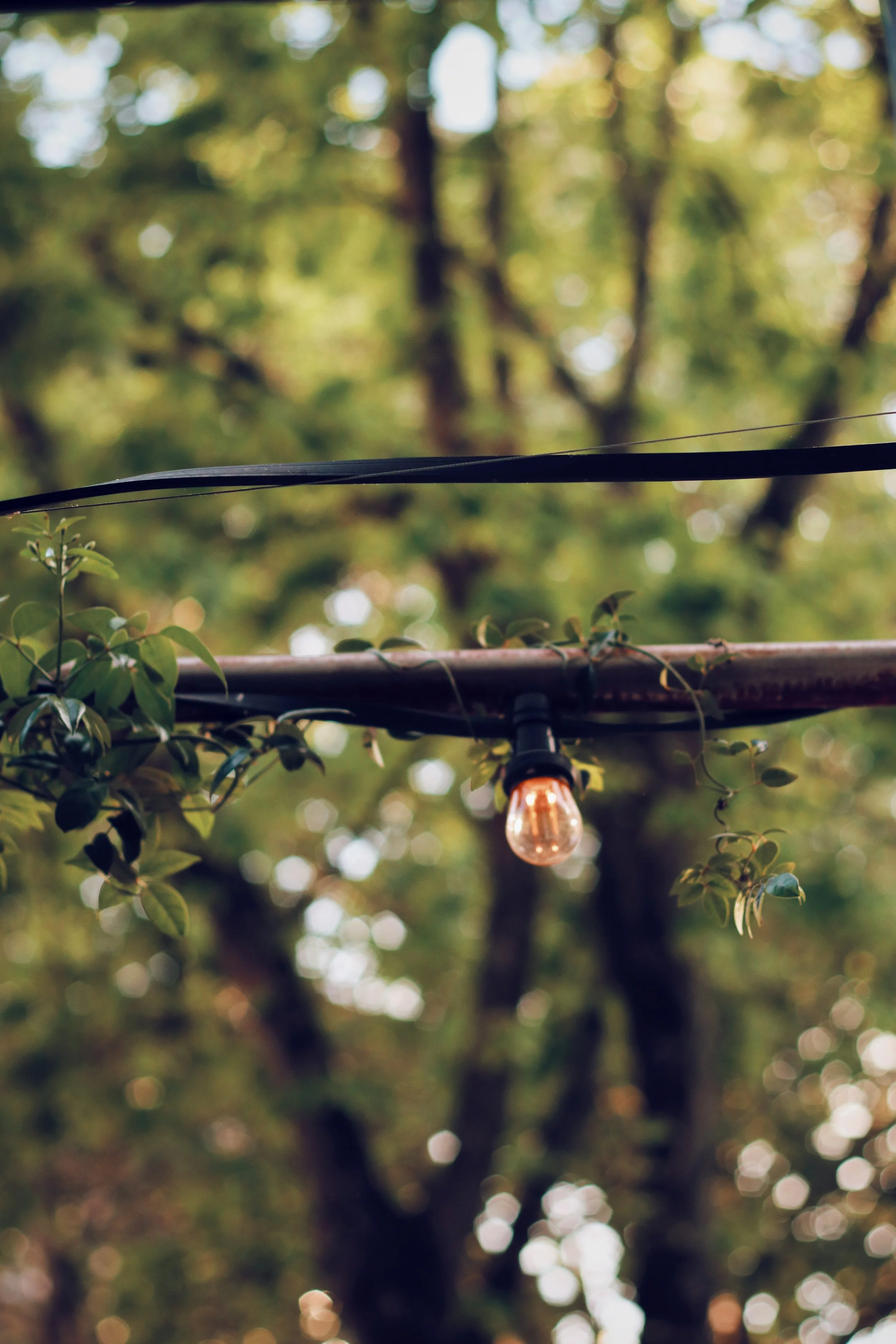 FullSizeRender_VSCO 54.JPG