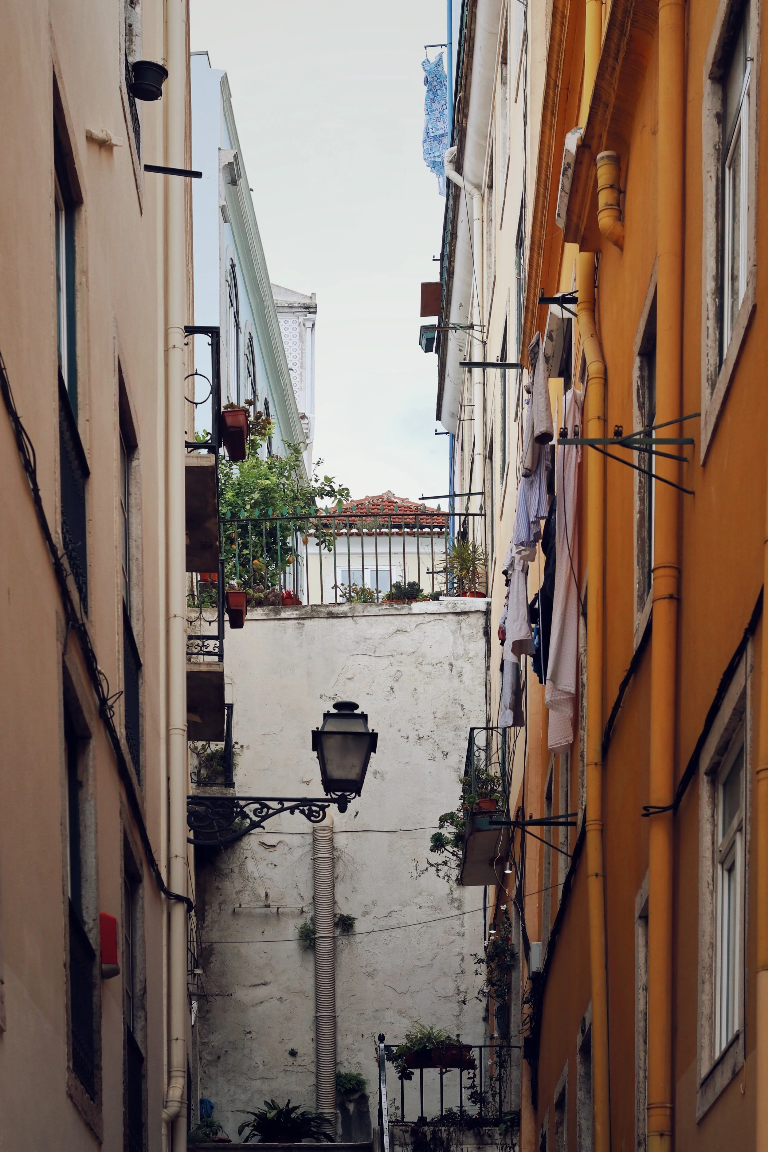 FullSizeRender_VSCO 60.JPG