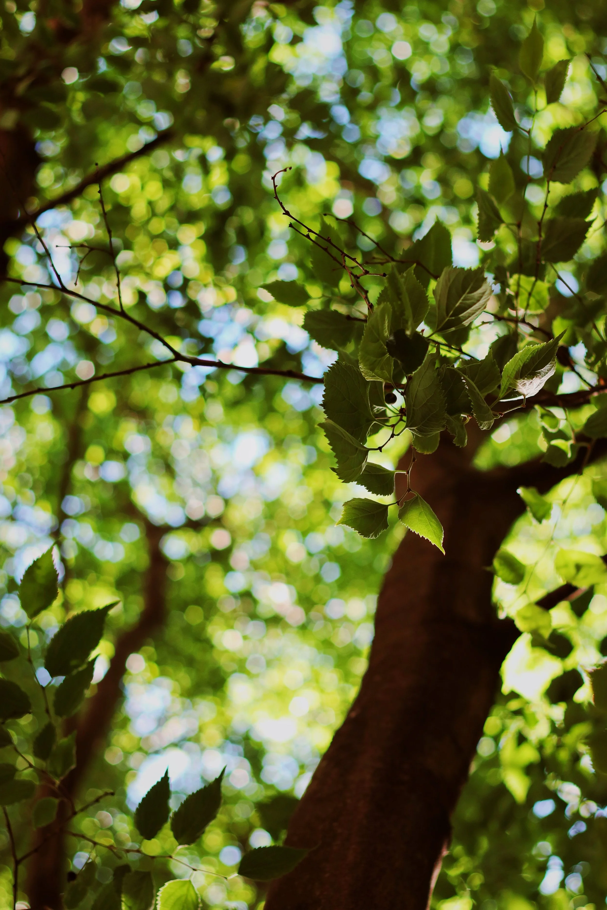 FullSizeRender_VSCO 88.JPG