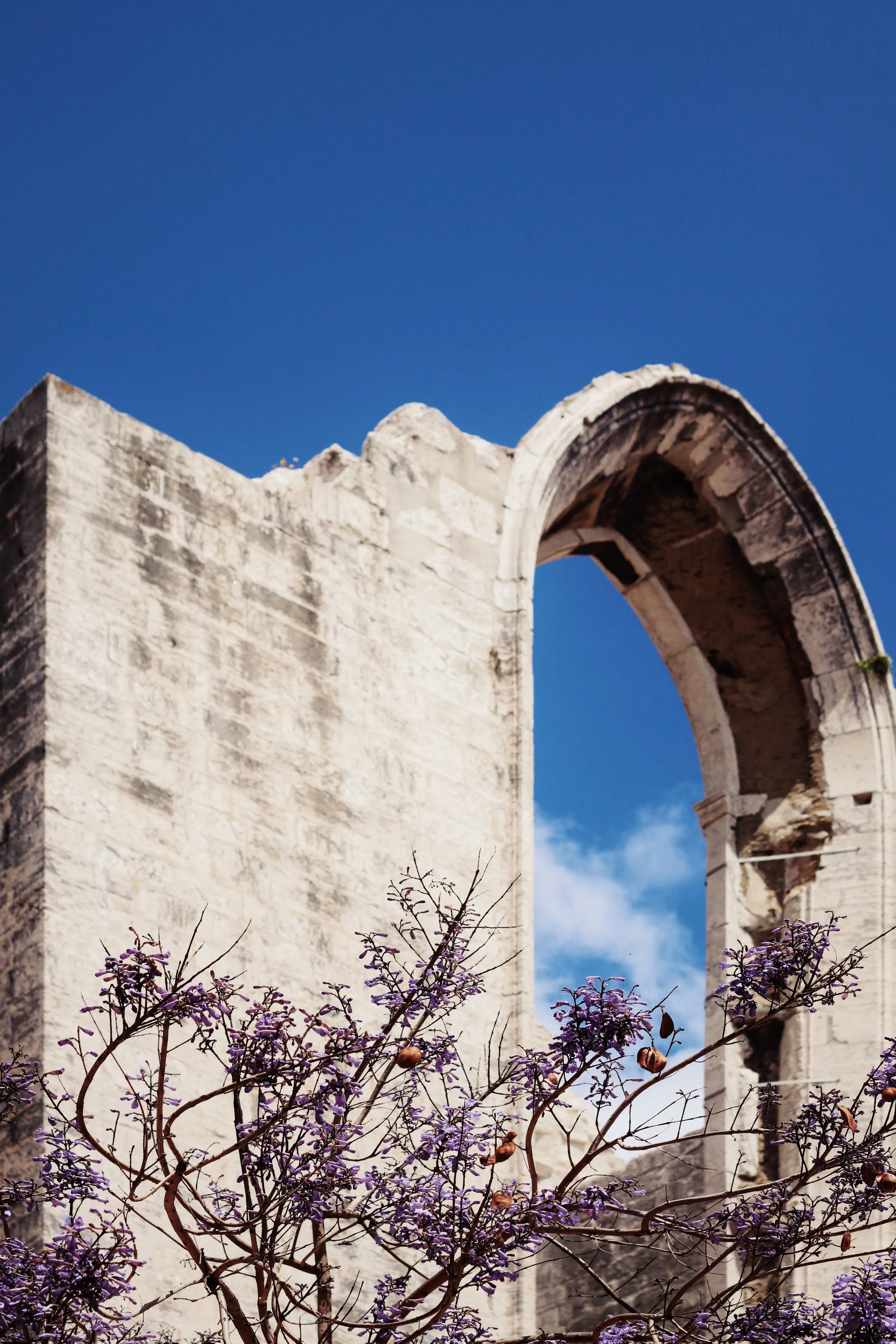 FullSizeRender_VSCO 96.JPG