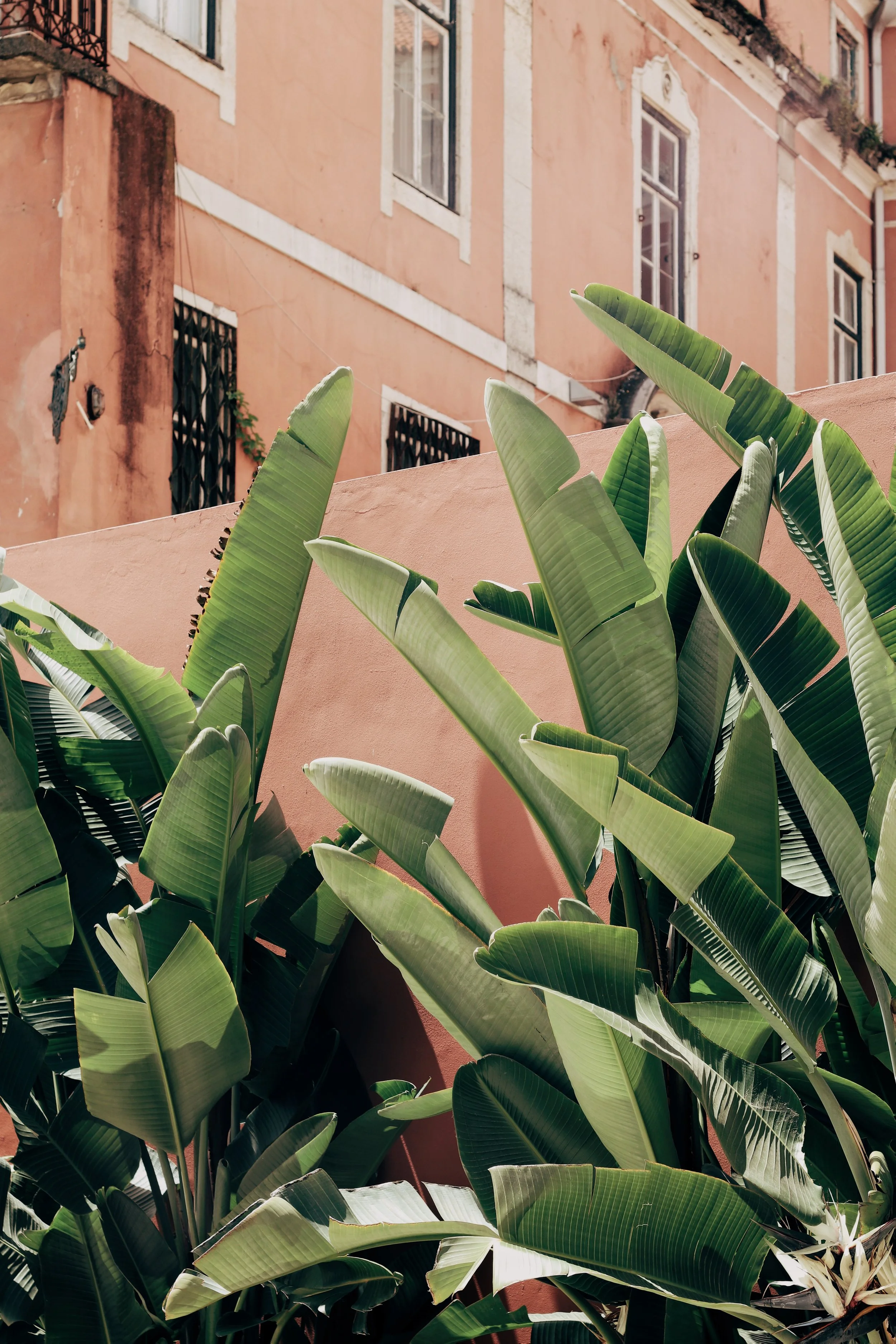 FullSizeRender_VSCO 97.JPG