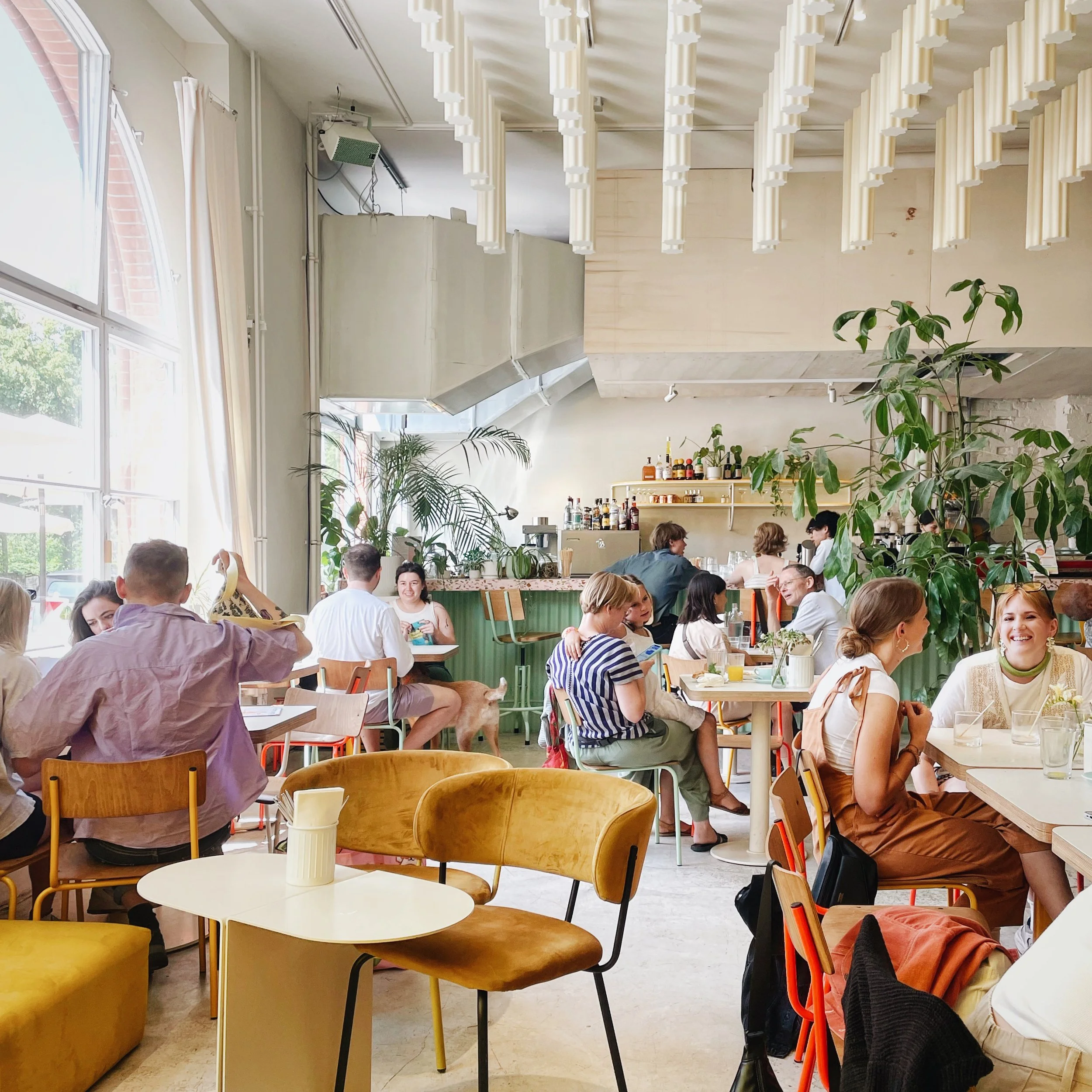 FullSizeRender_VSCO 2.JPG