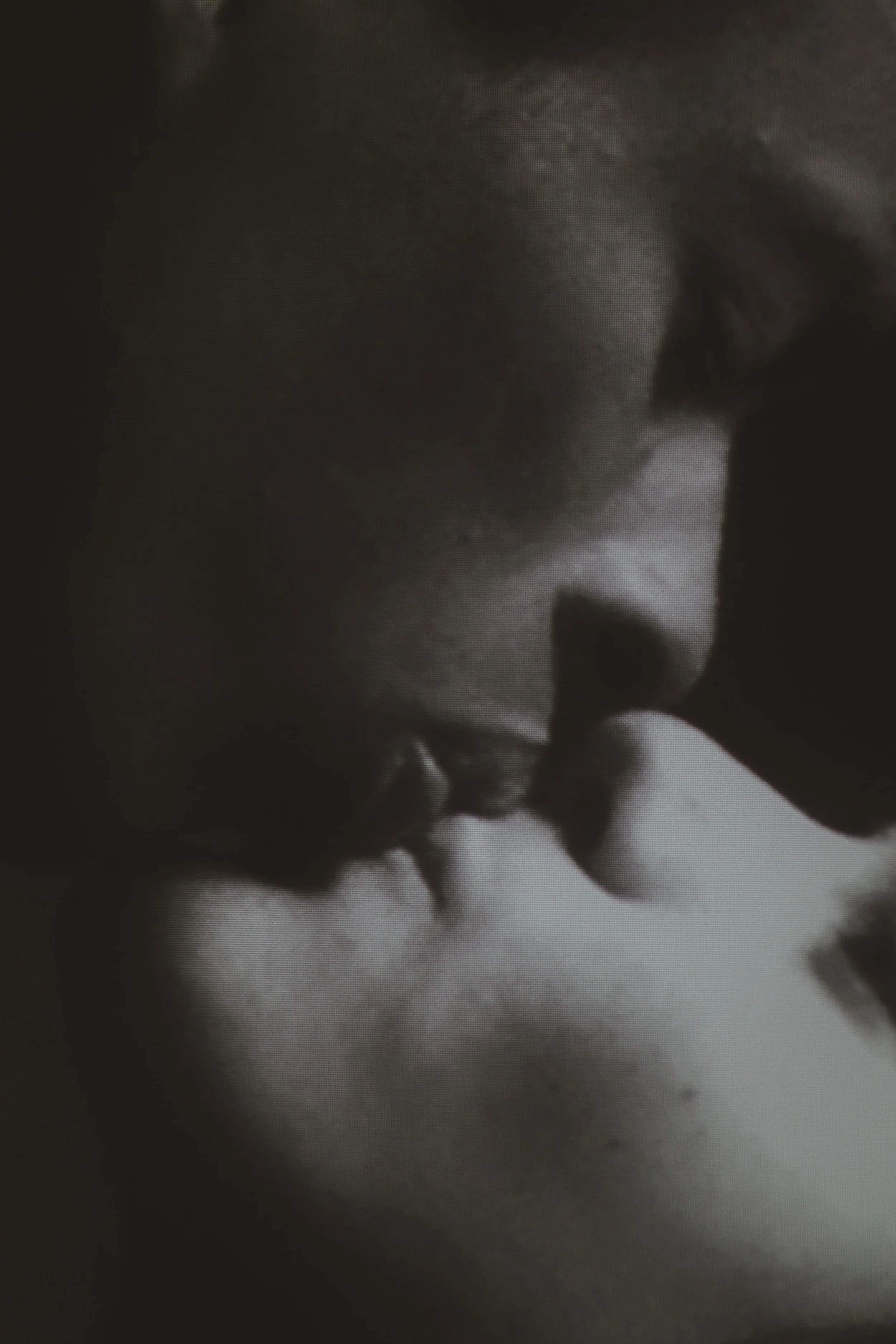 FullSizeRender_VSCO 27.JPG