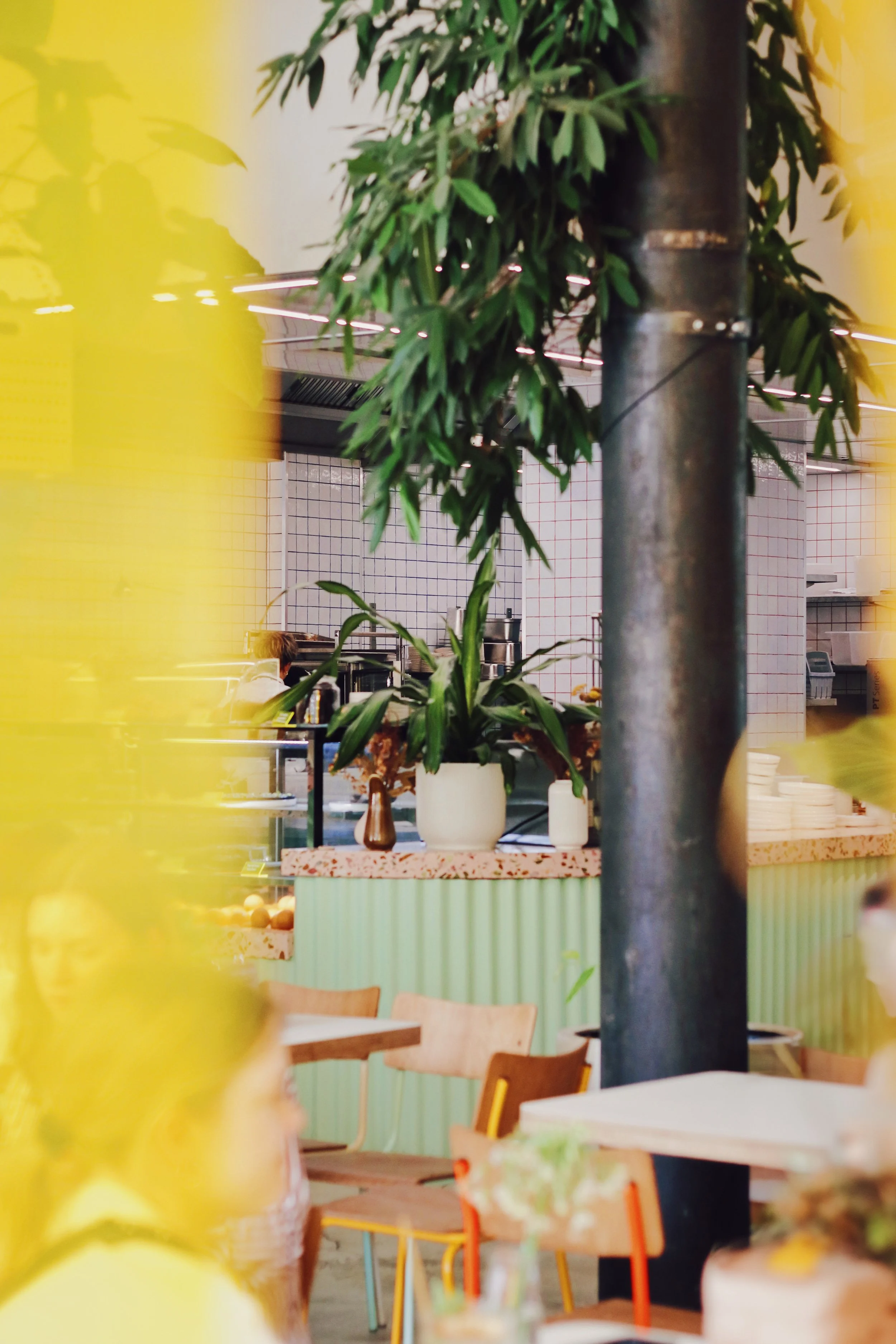 FullSizeRender_VSCO 36.JPG