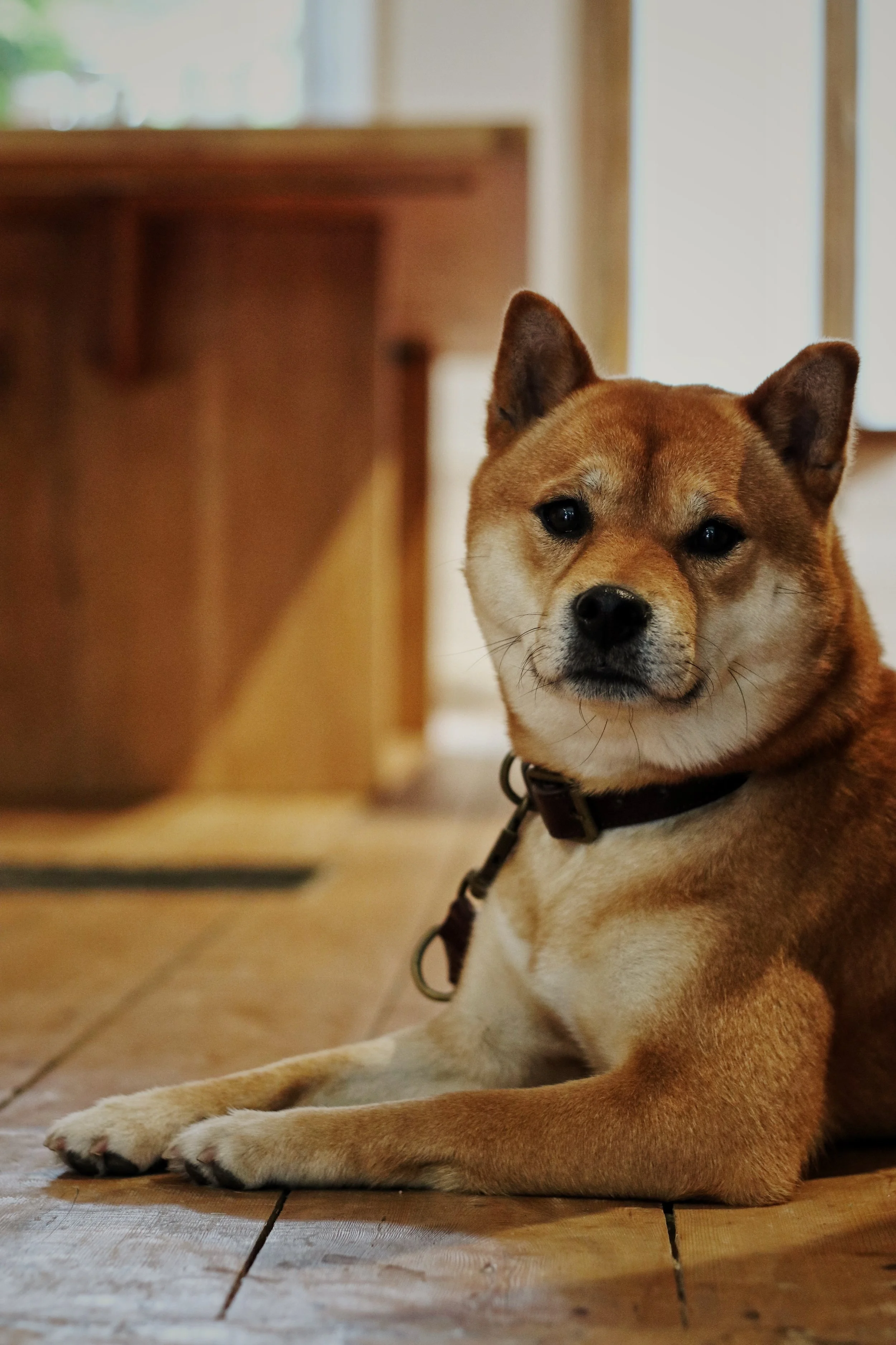 FullSizeRender_VSCO 14.JPG