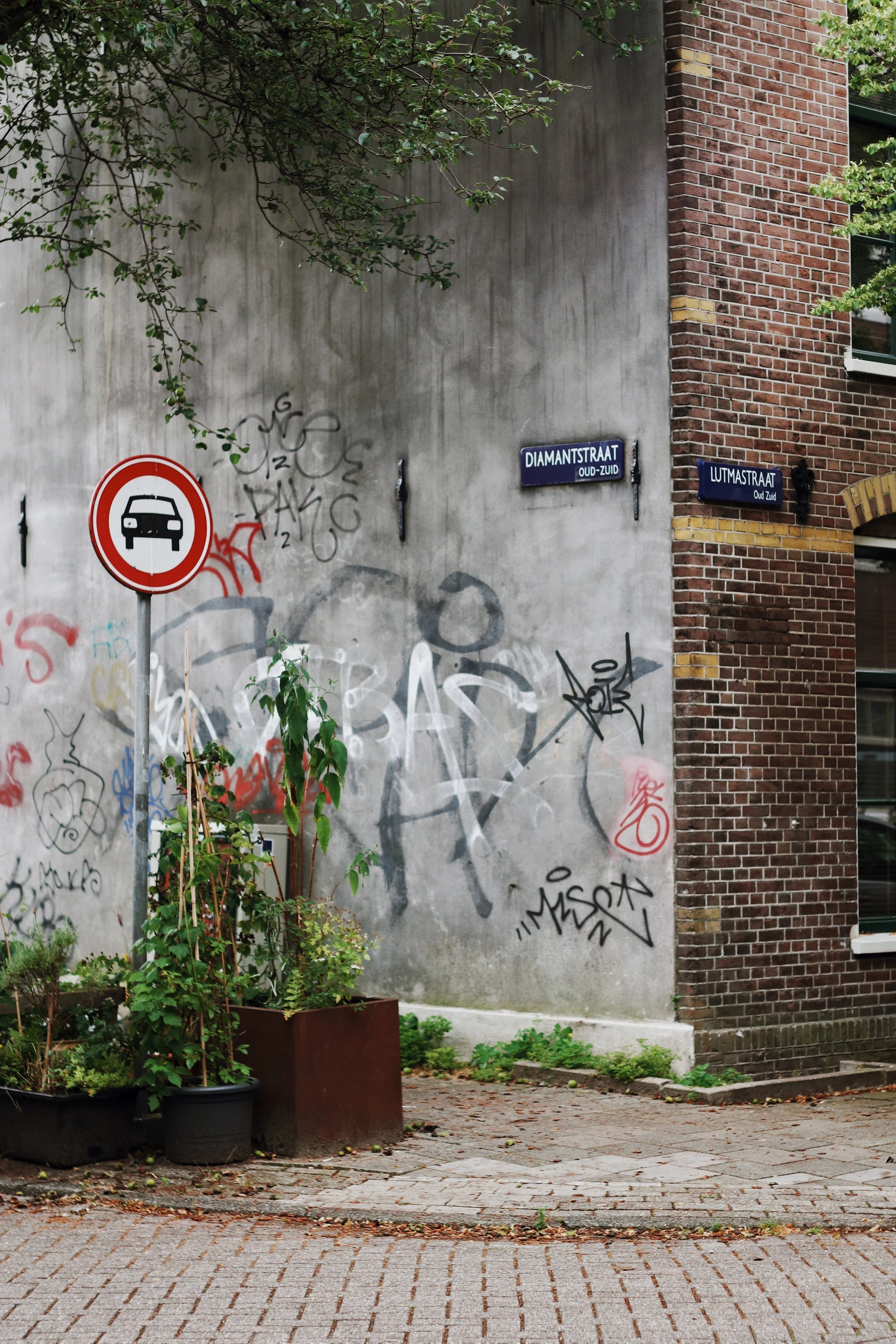 FullSizeRender_VSCO 20.JPG