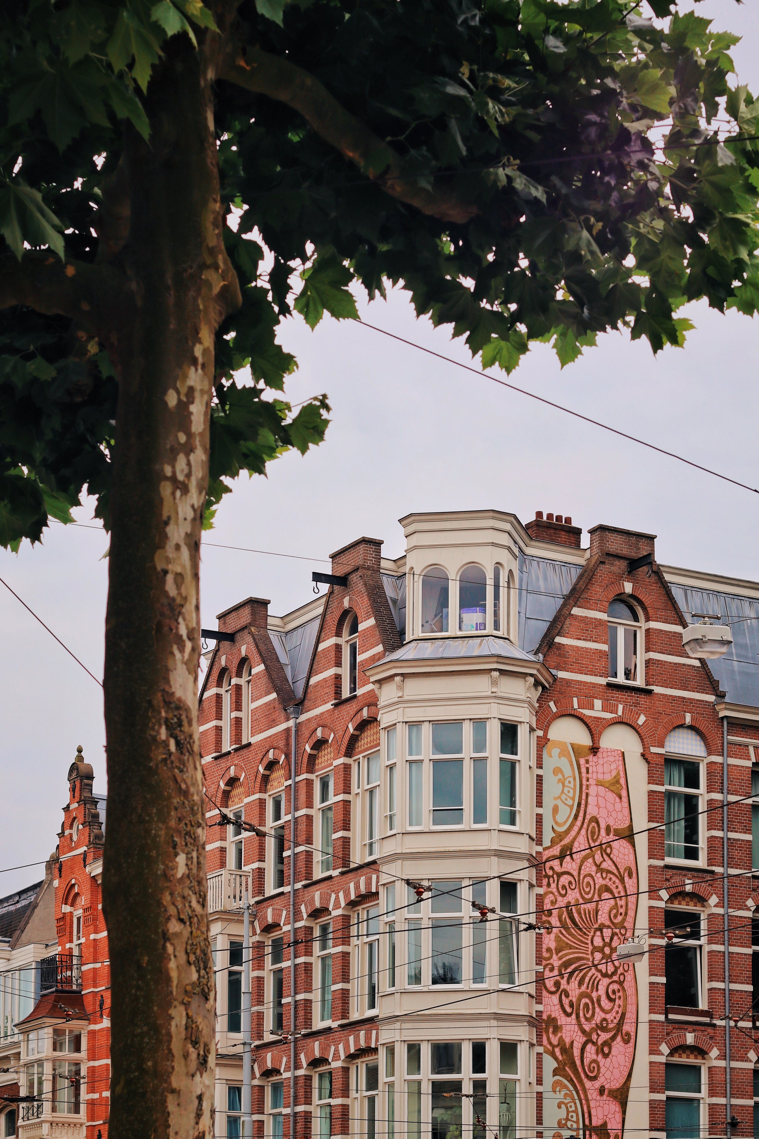 FullSizeRender_VSCO 32.JPG