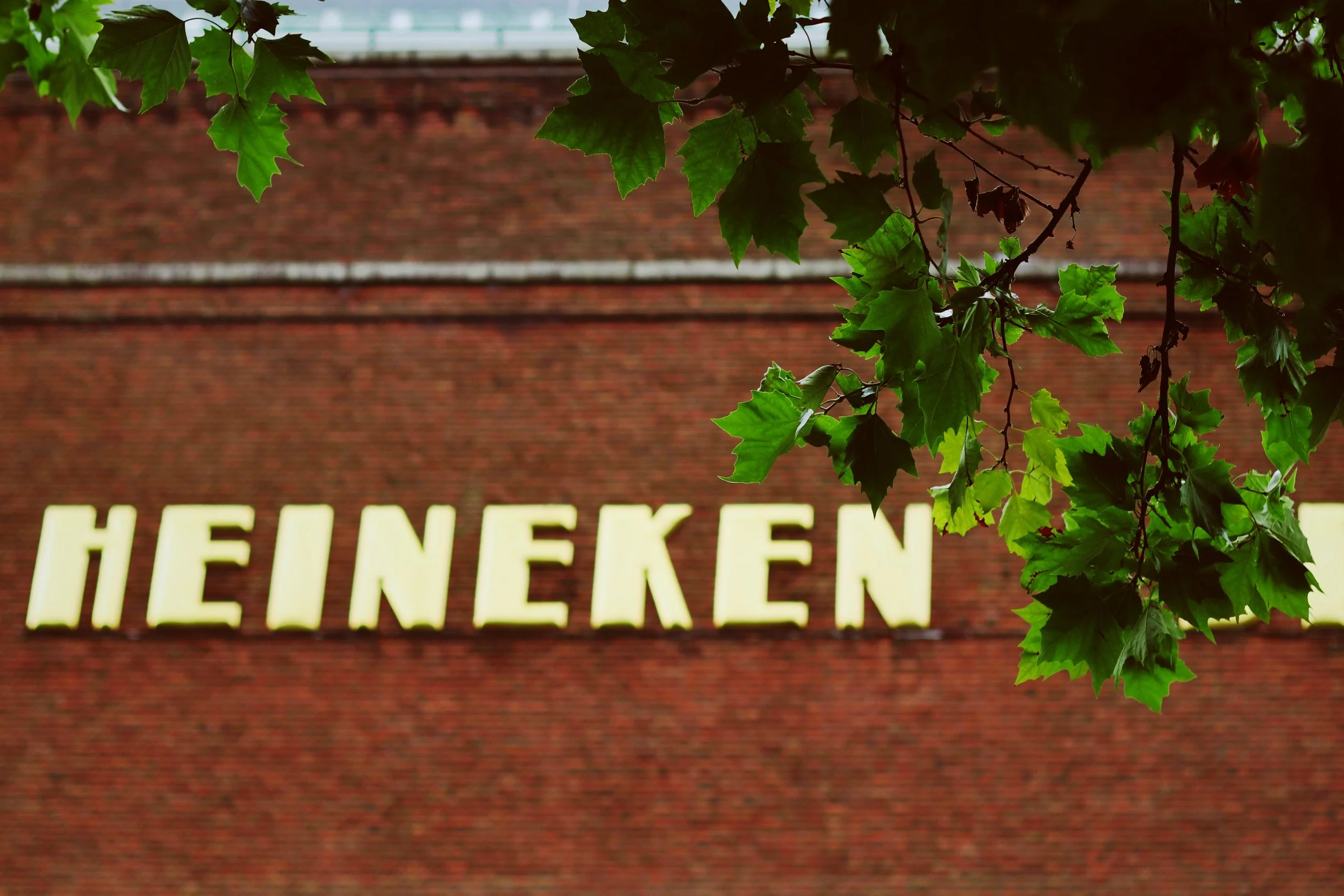 FullSizeRender_VSCO 37.JPG