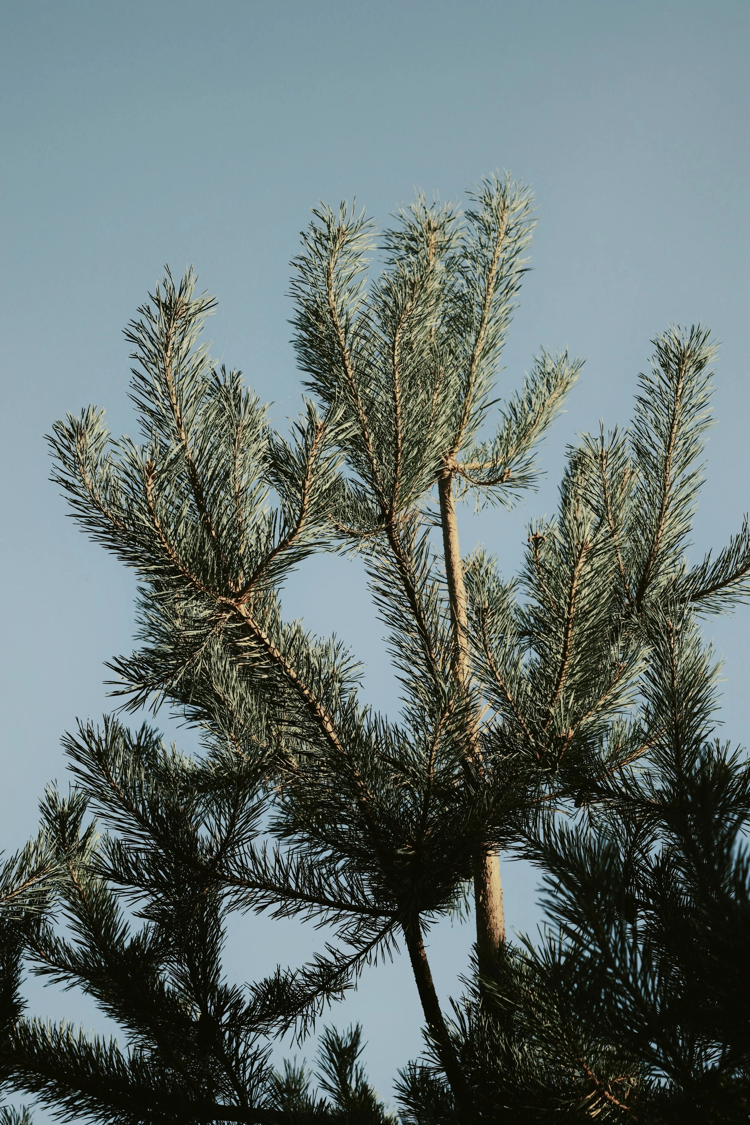 FullSizeRender_VSCO 5c.JPG