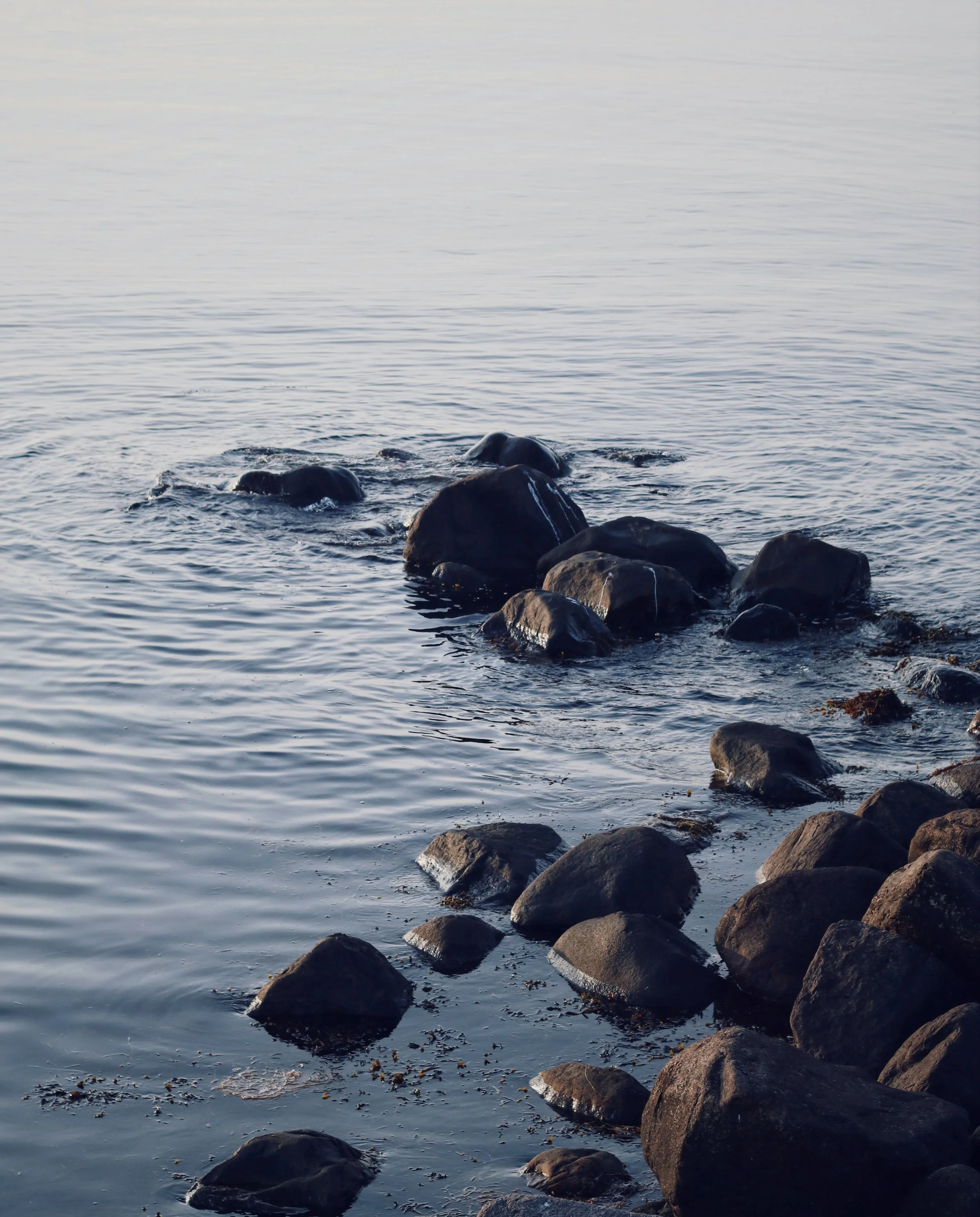 FullSizeRender_VSCO 7a.JPG