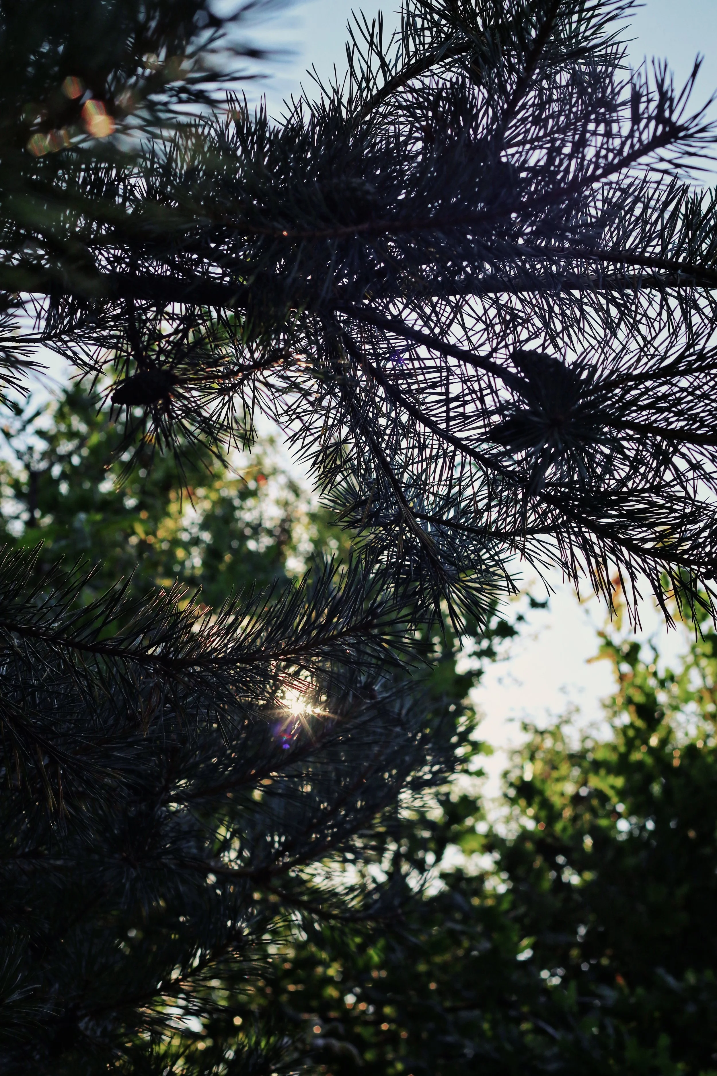 FullSizeRender_VSCO 11c.JPG