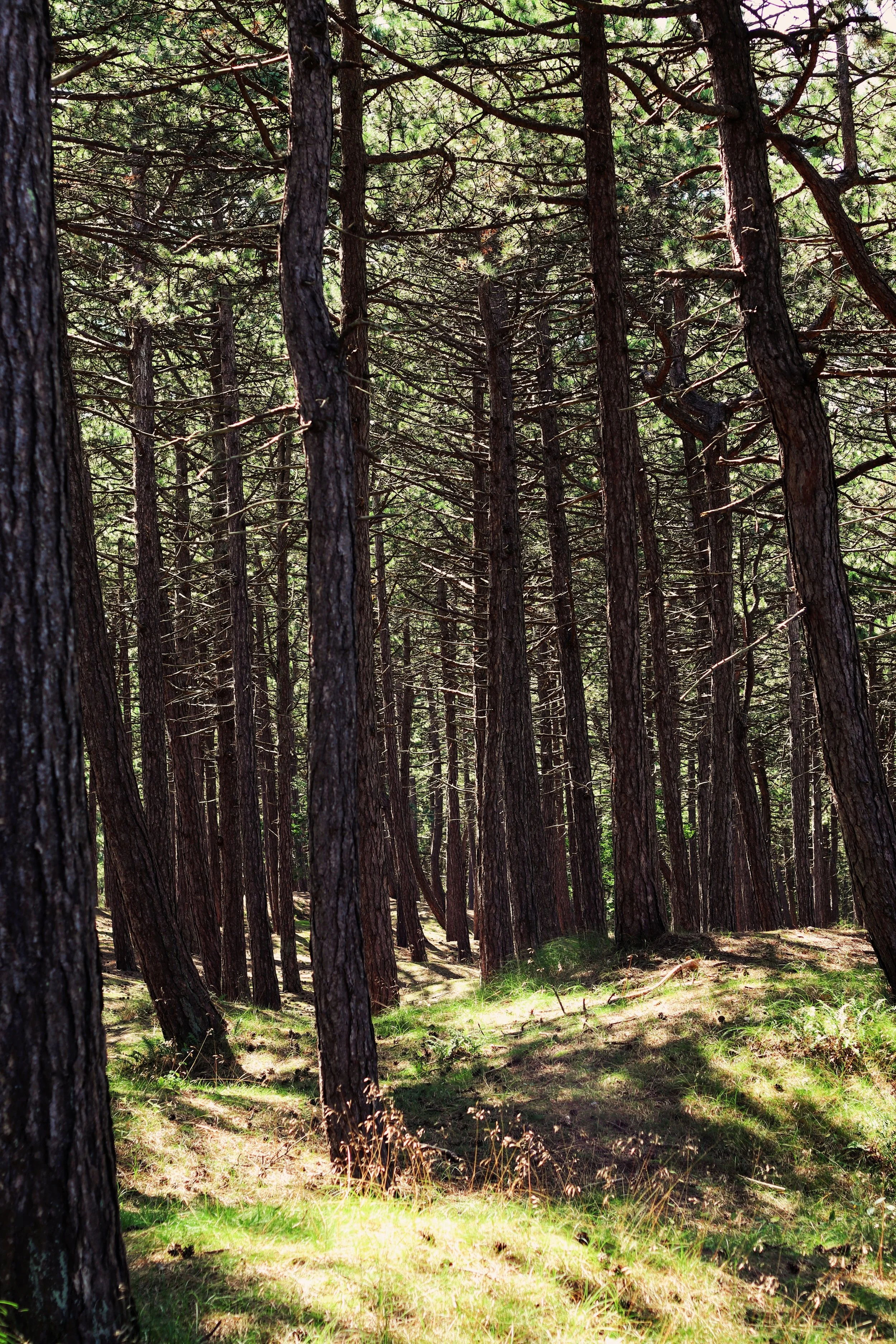 FullSizeRender_VSCO 18b.JPG