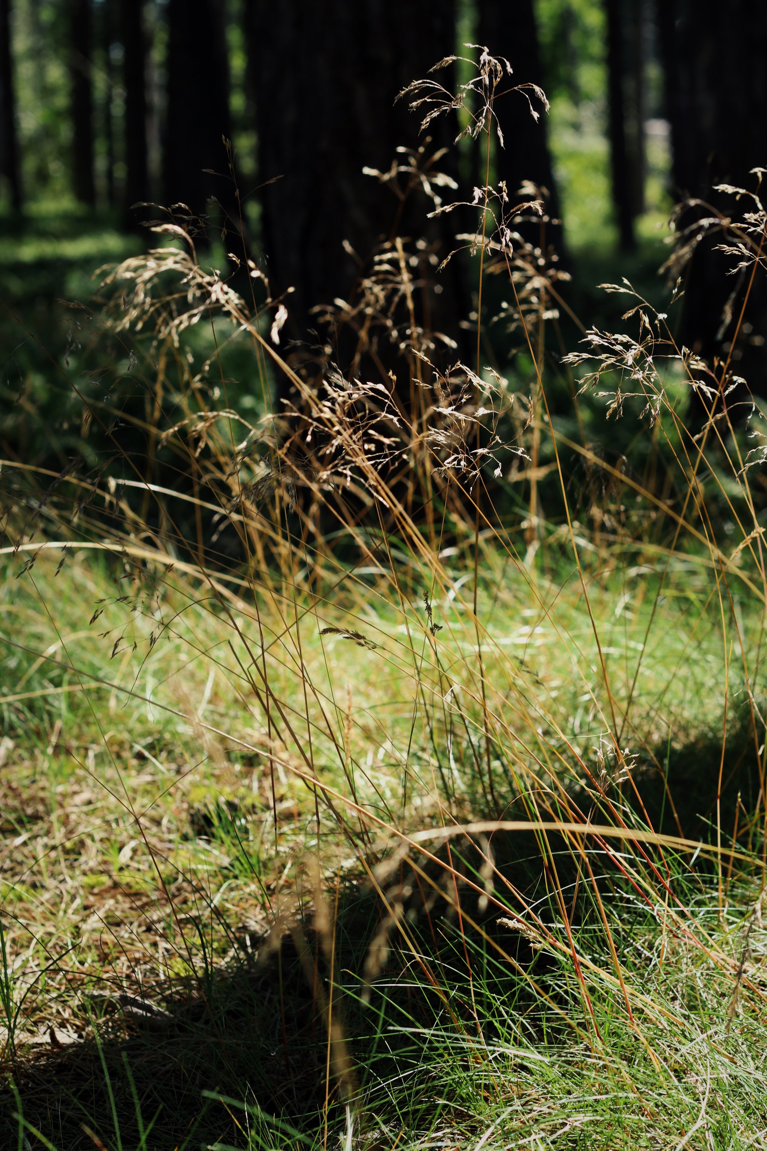 FullSizeRender_VSCO 31c.JPG