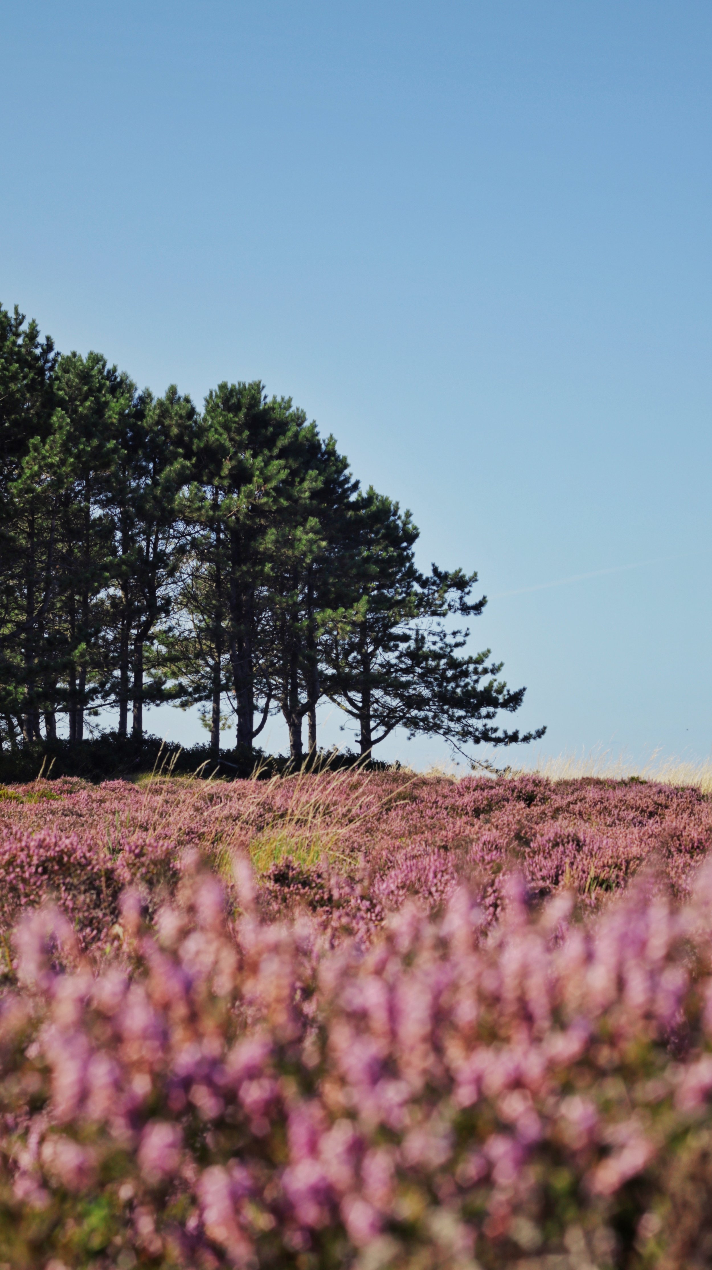 FullSizeRender_VSCO 36.JPG