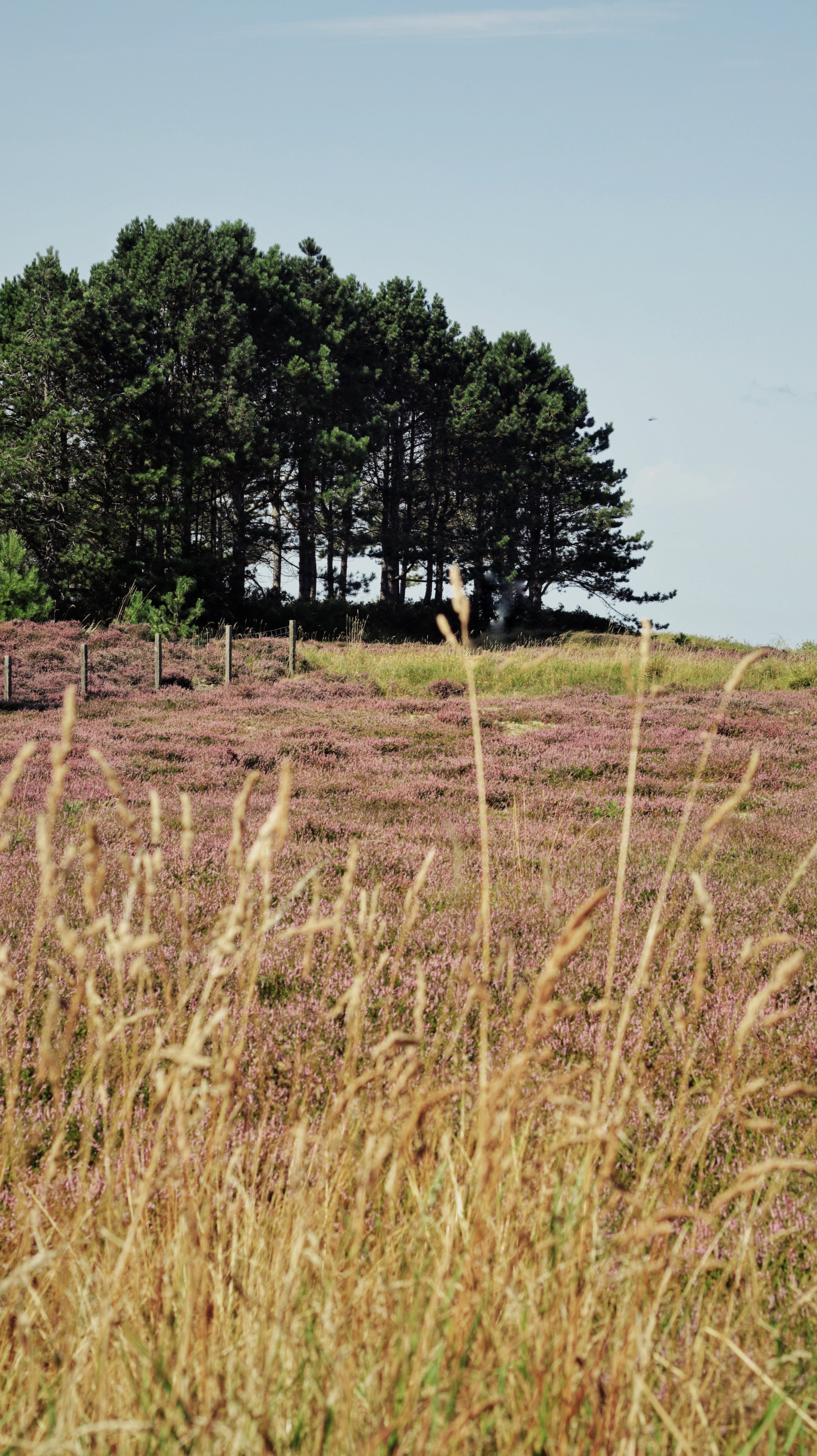 FullSizeRender_VSCO 37.JPG