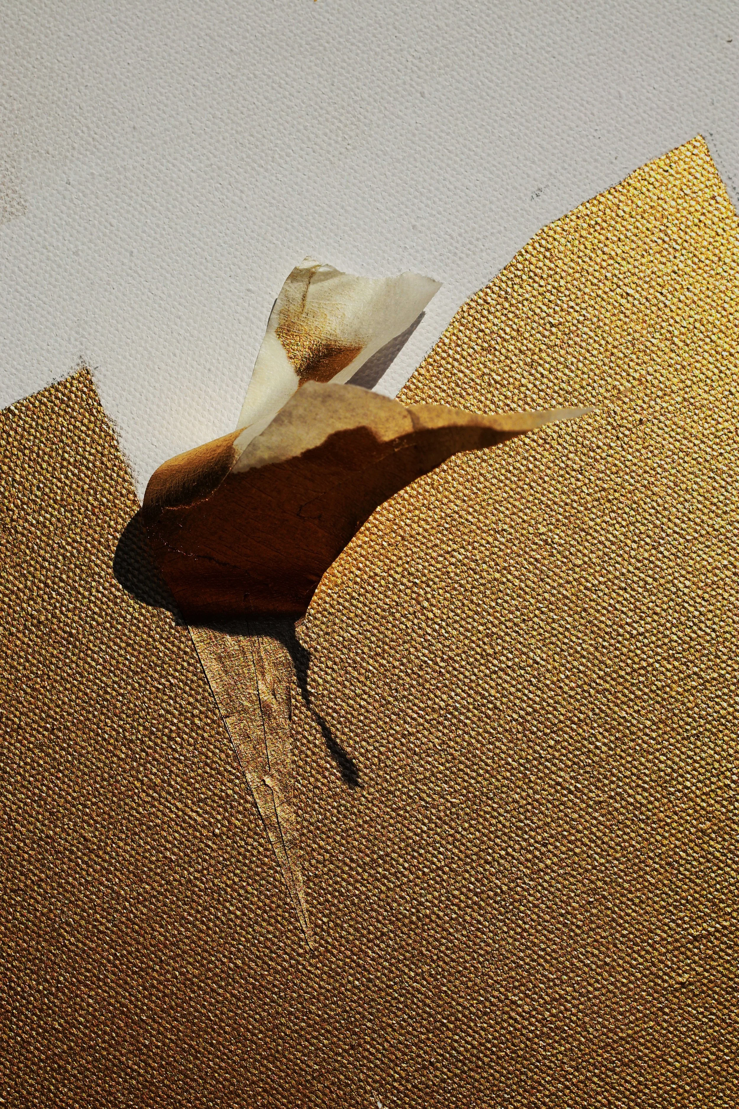 FullSizeRender_VSCO 40.JPG