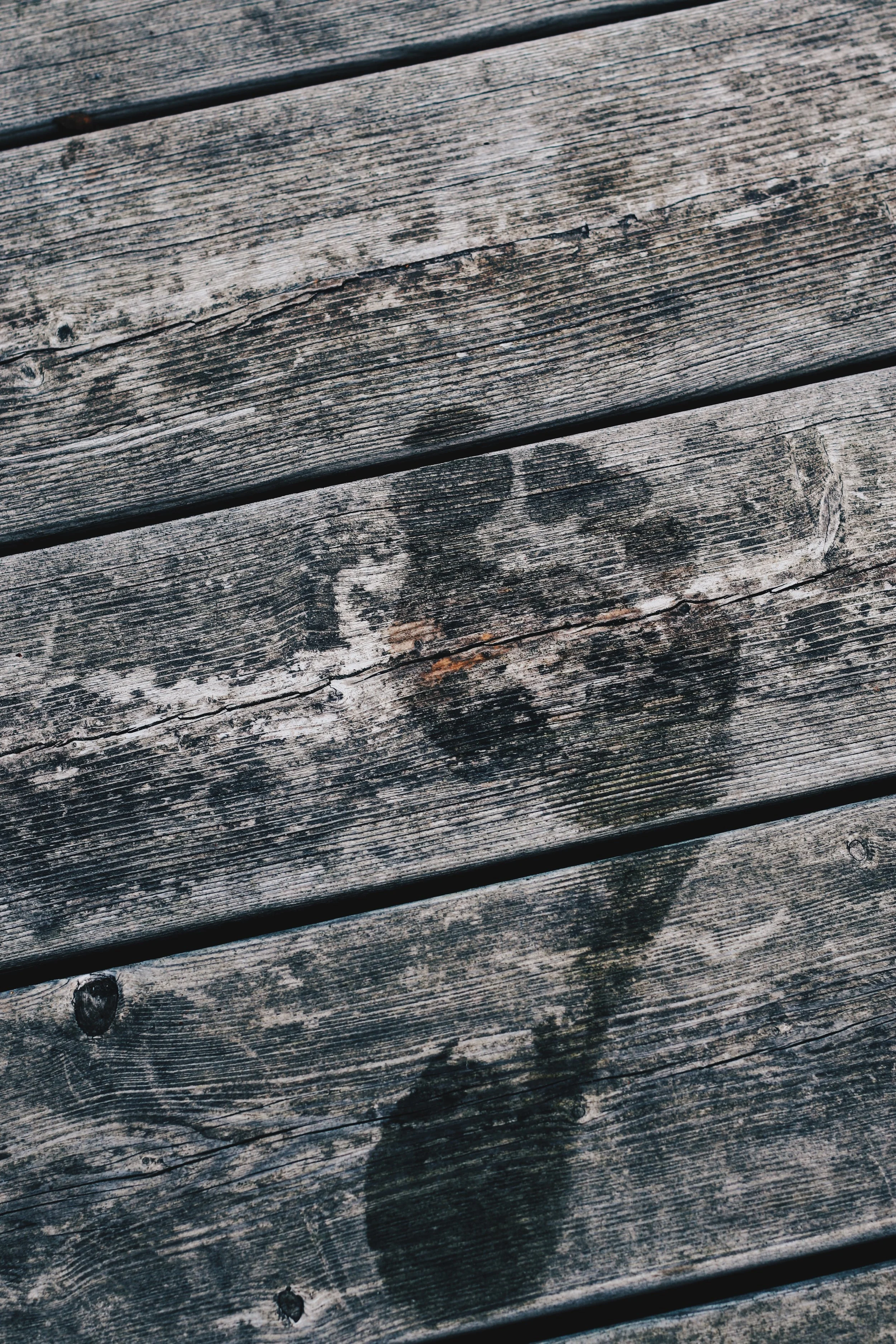 FullSizeRender_VSCO 55.JPG