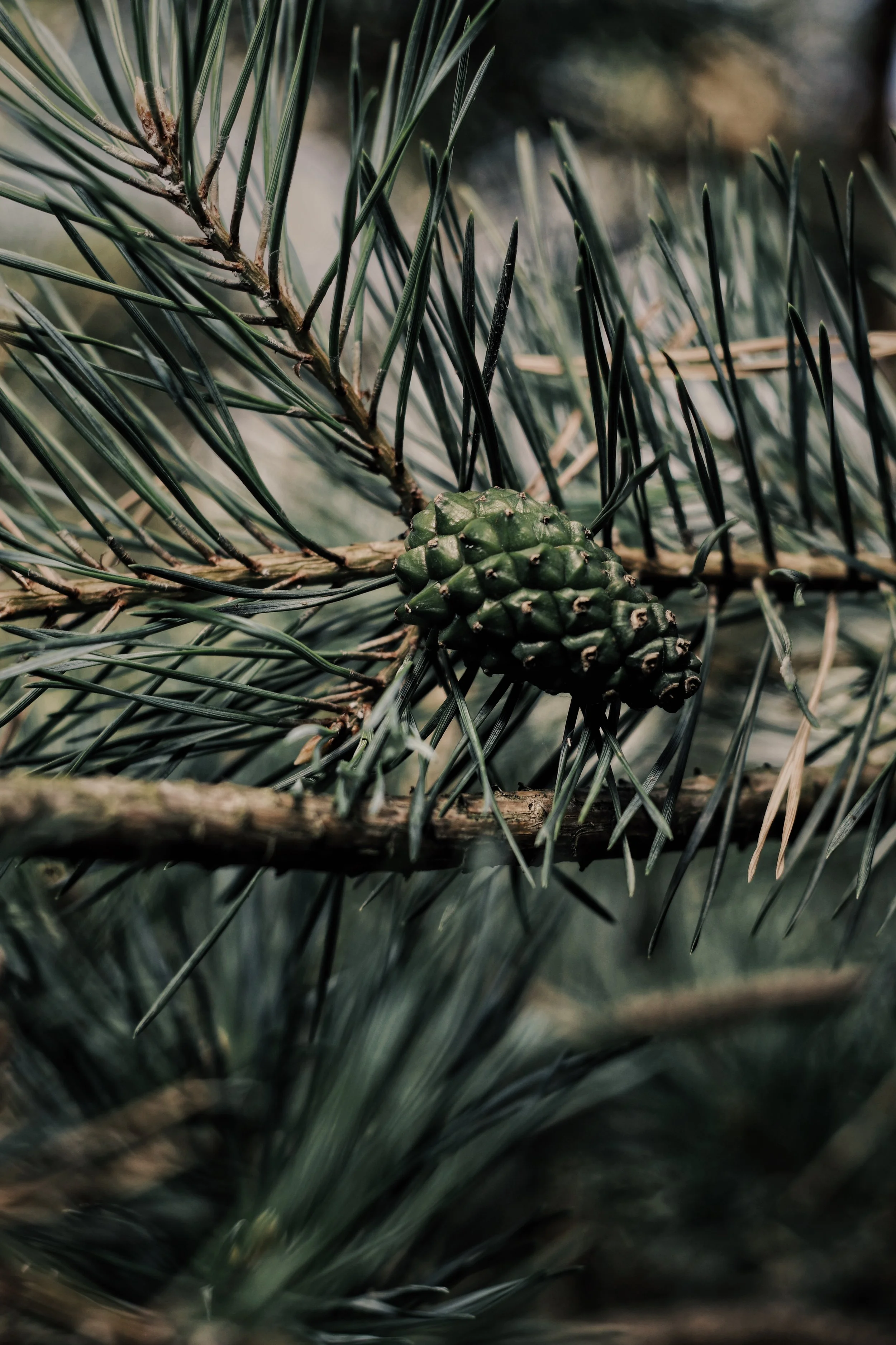 FullSizeRender_VSCO 57.JPG