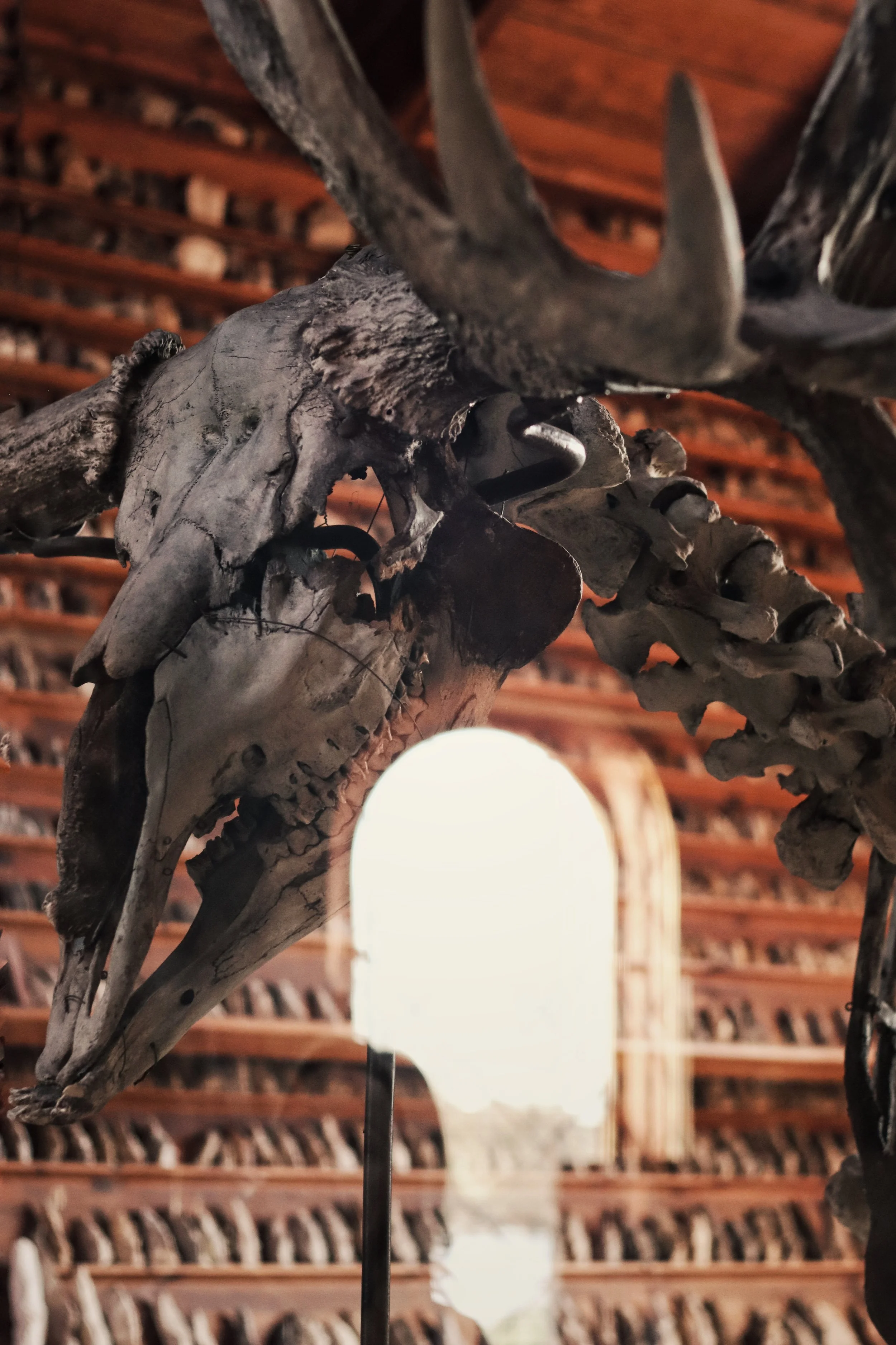 FullSizeRender_VSCO 29.JPG