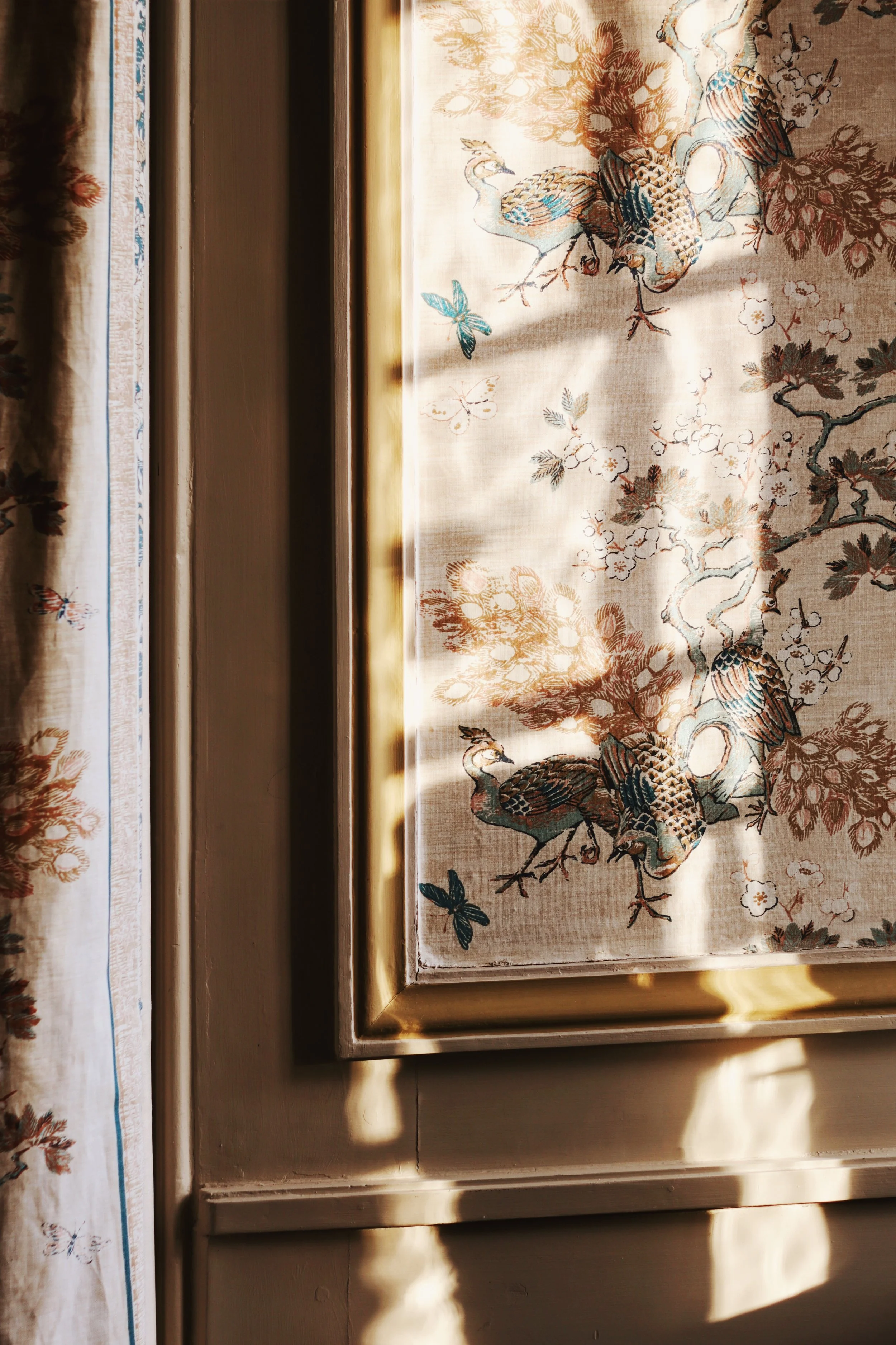 FullSizeRender_VSCO 31.JPG