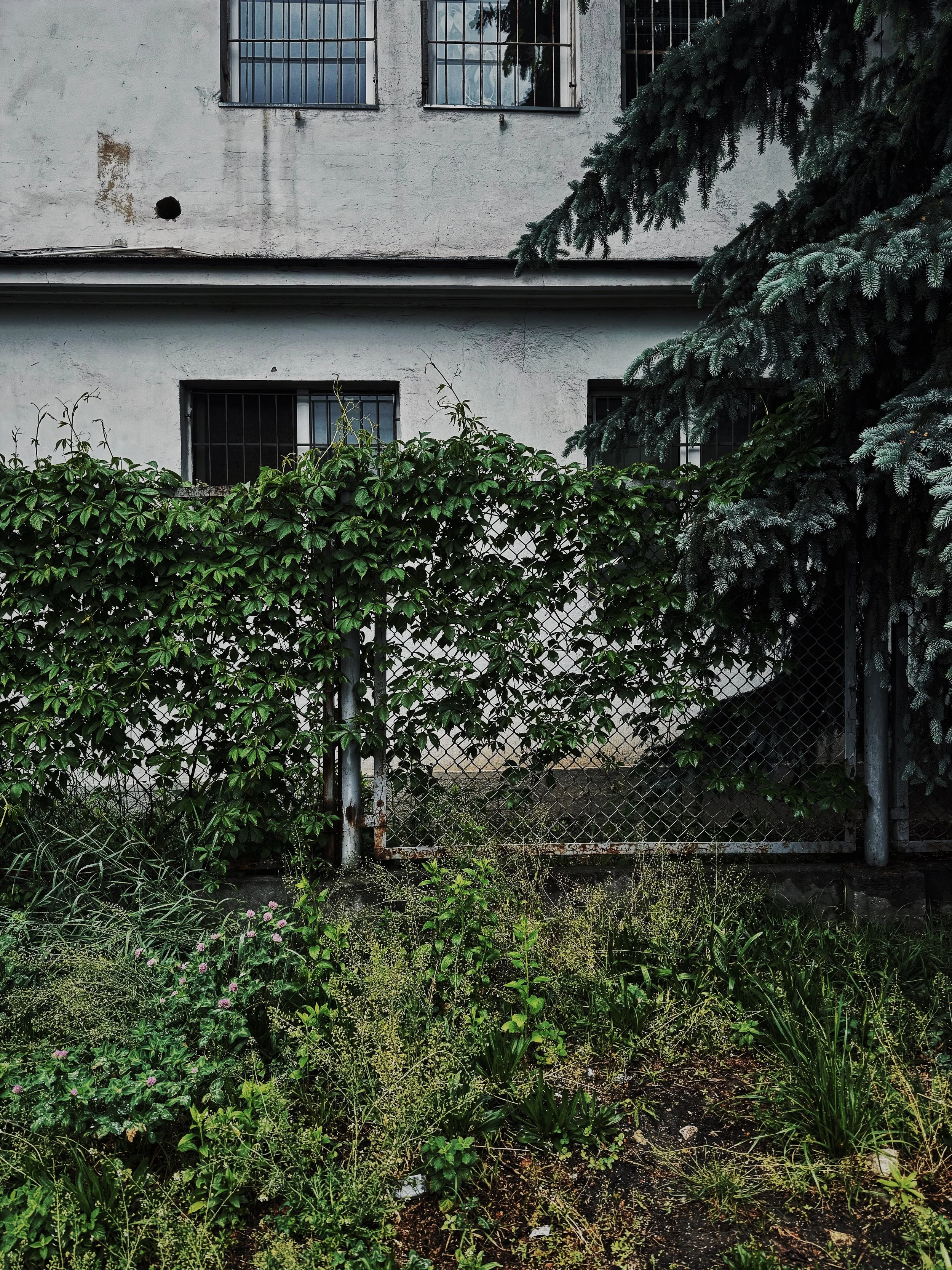 FullSizeRender_VSCO 8.JPG