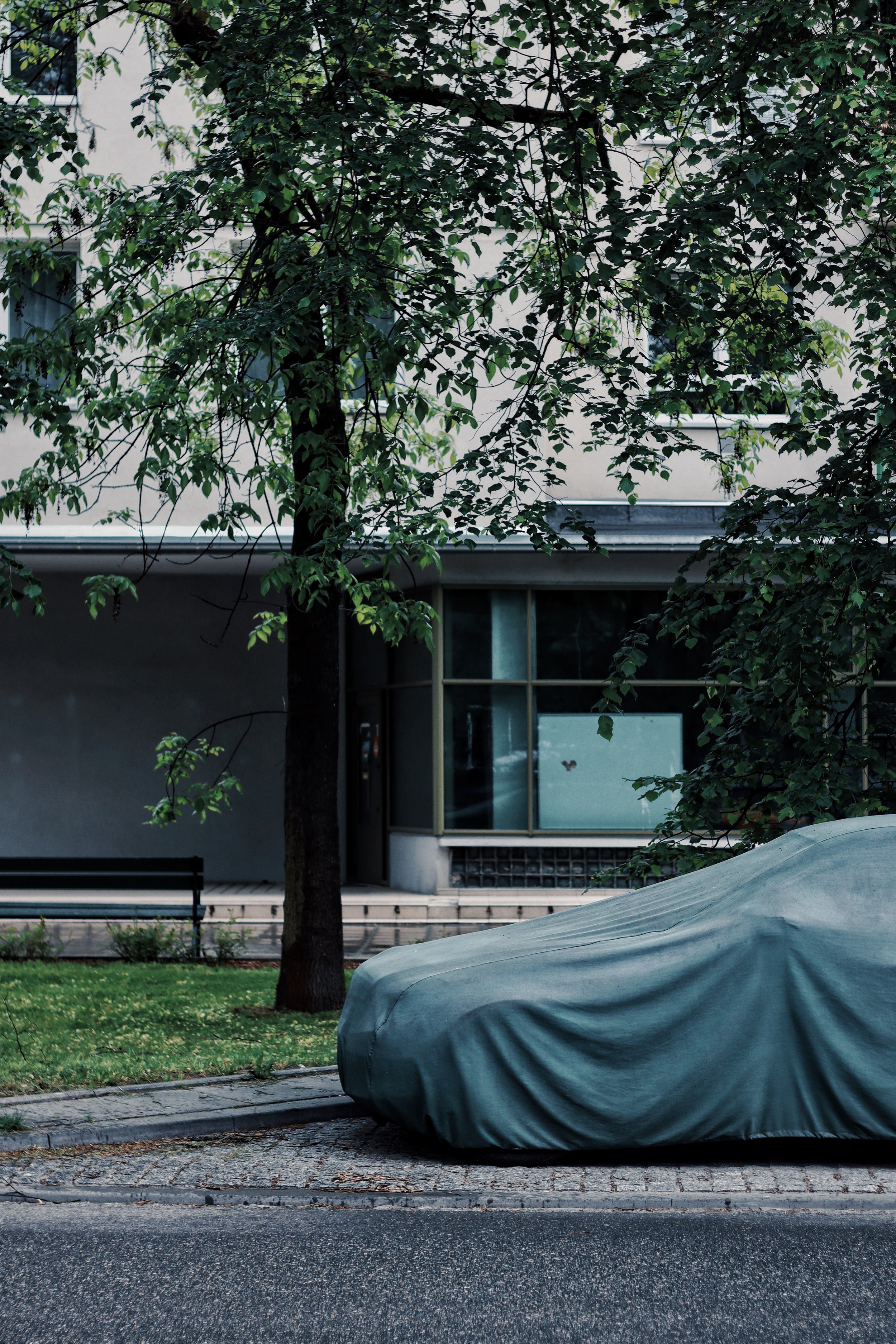 FullSizeRender_VSCO 15.JPG
