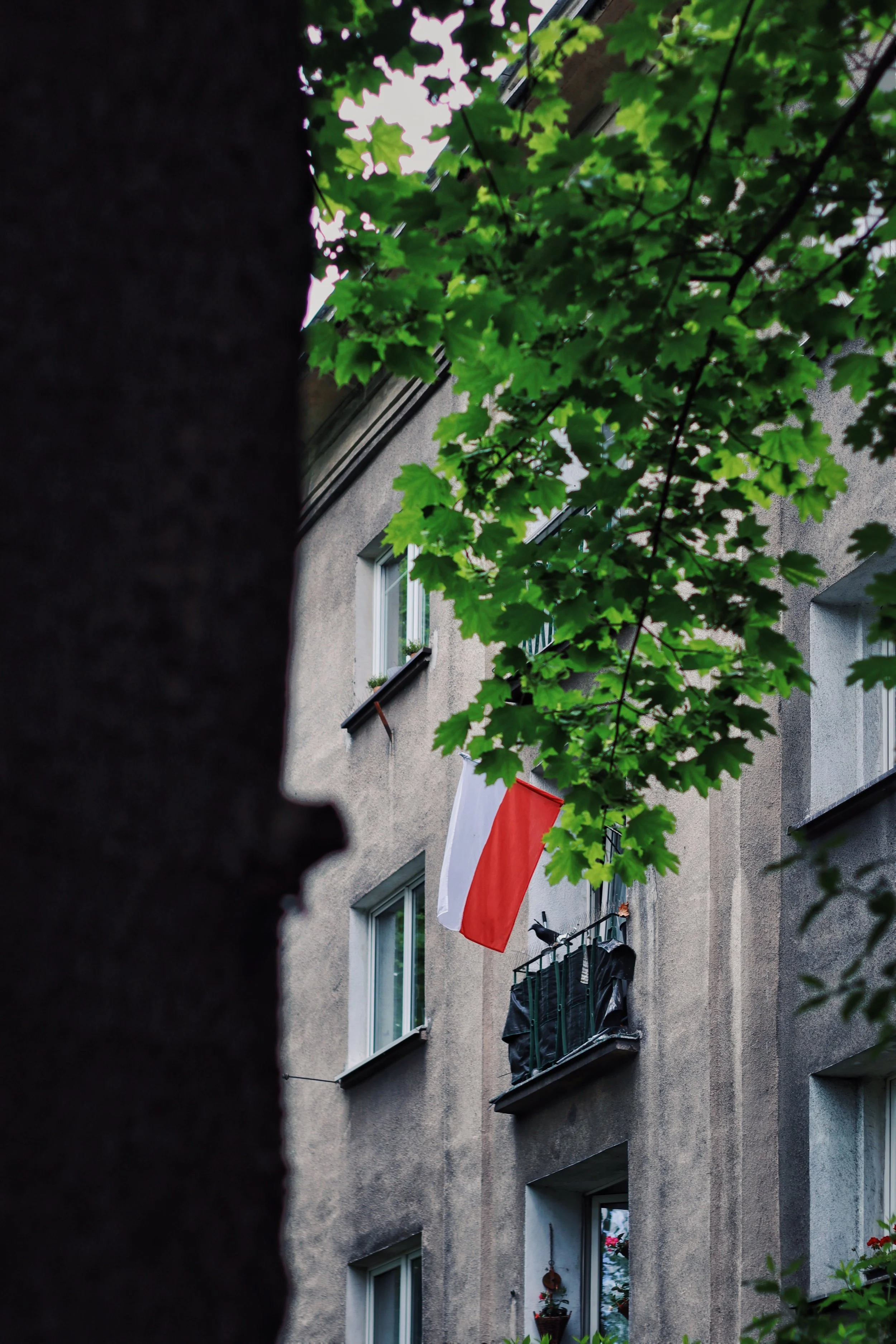 FullSizeRender_VSCO 26.JPG