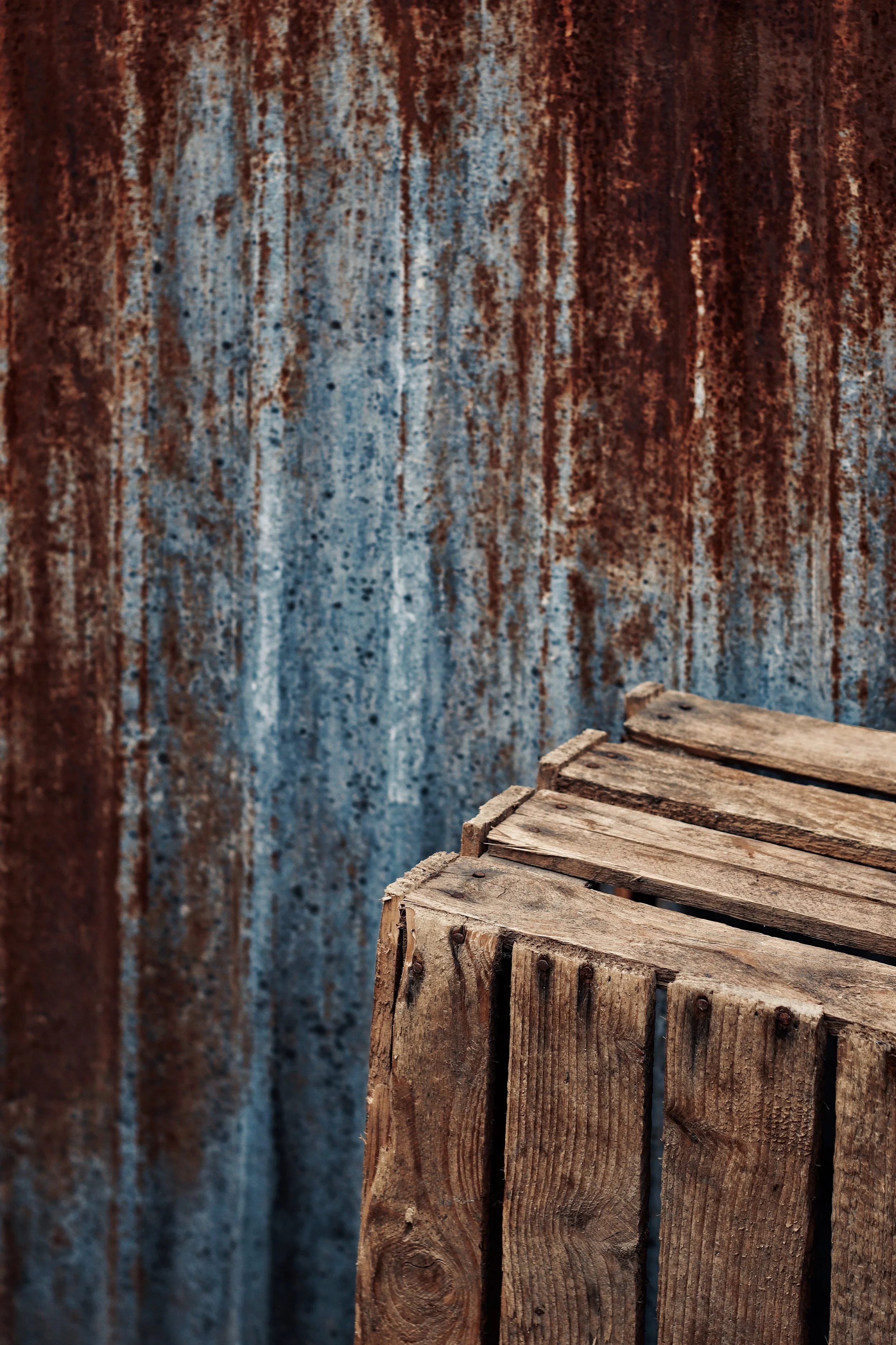 FullSizeRender_VSCO 29.JPG