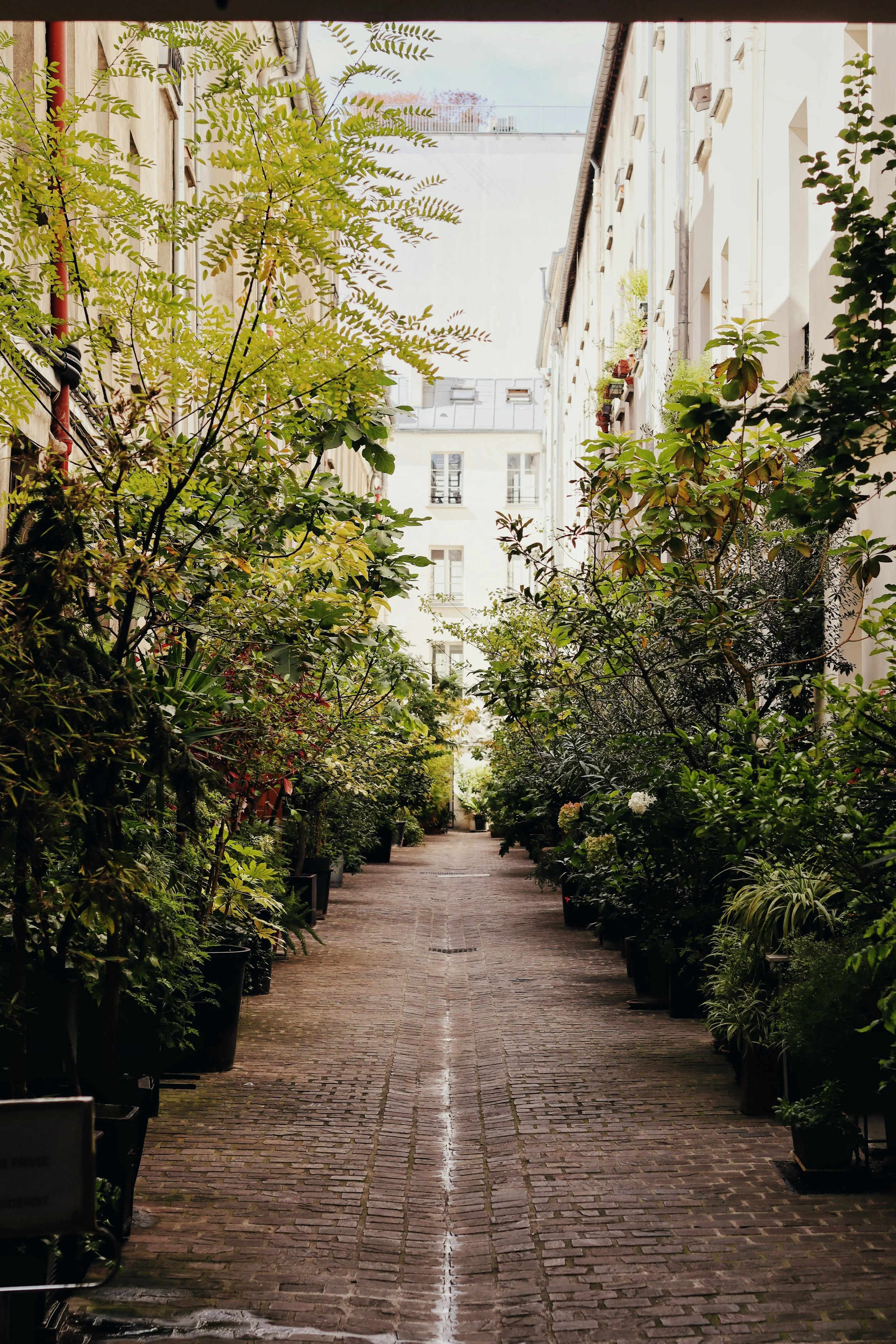 FullSizeRender_VSCO 32.JPG