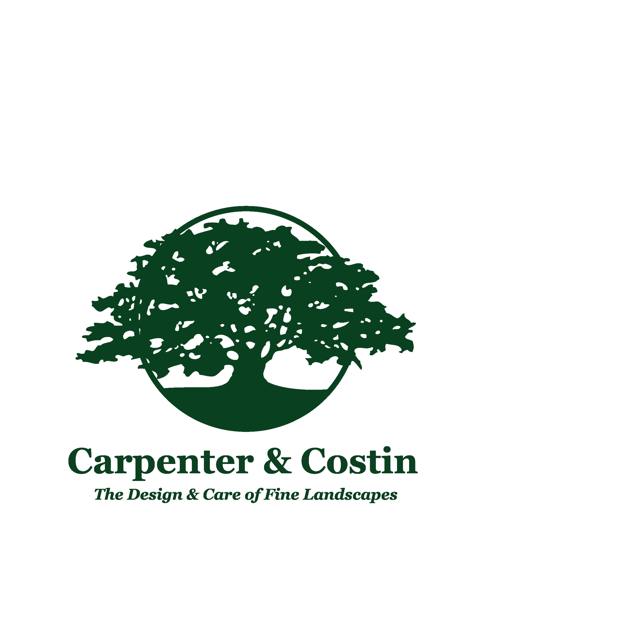 Carpenter Costin  - LOGO (1).png