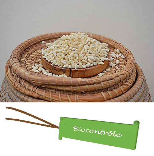 Produit.png