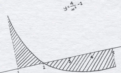 Tutoring the Large Data Set: Amir's Story