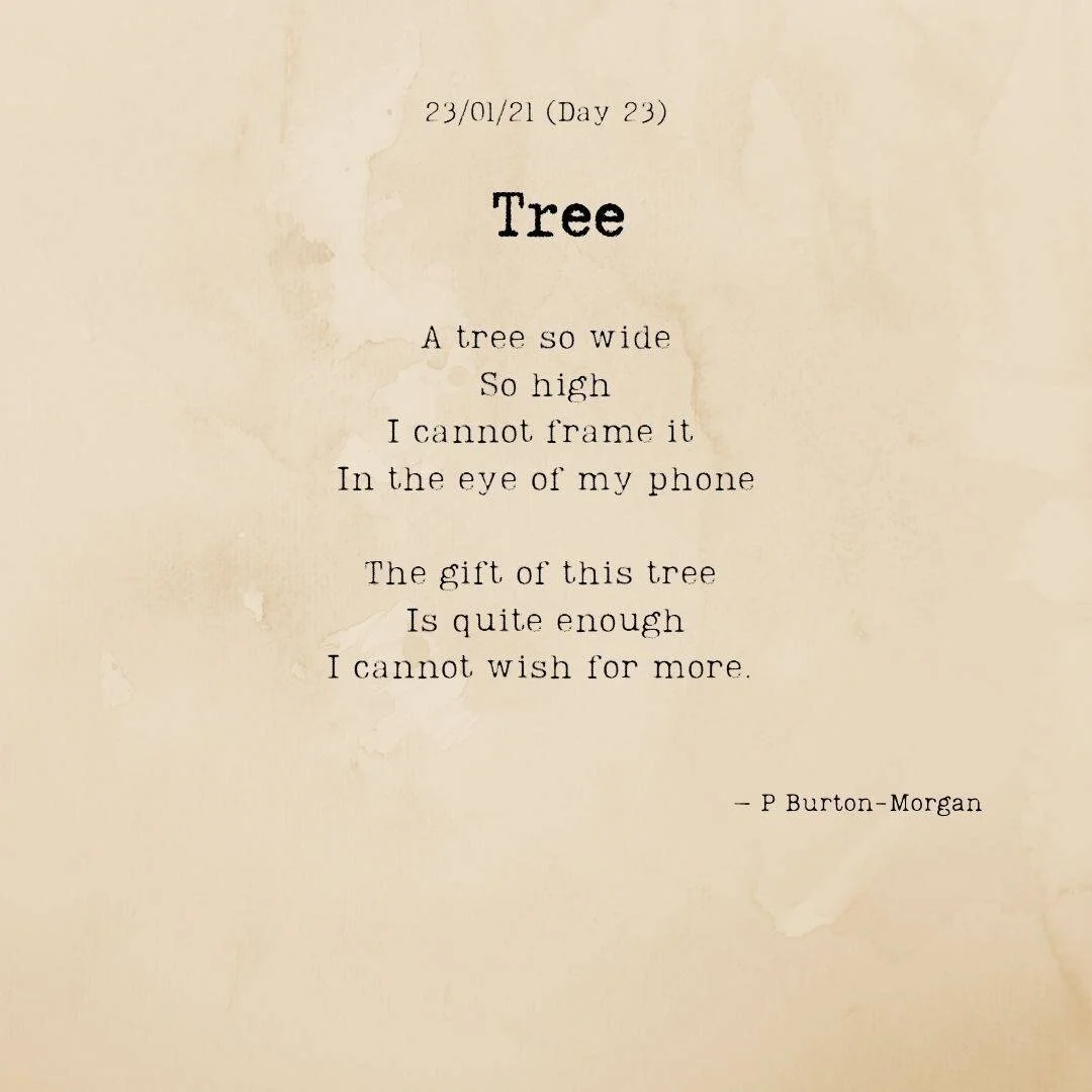 Well I wasn't going to share today's poem but I was provoked, so. Happy birthday to me and my twinny (who I immortalised in another tree poem back on Dec 18th when he moved to NY) #lockdownpoem #Day23 #tree #birthday 🌳🎁