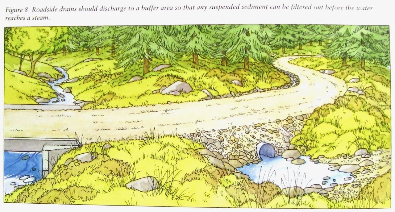 Forestry Commission