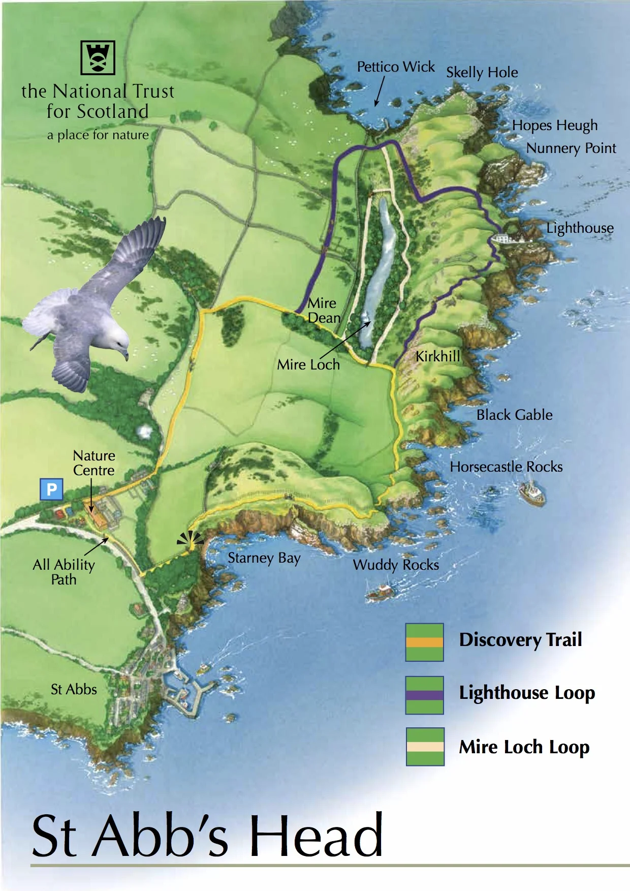 St Abbs Trail.jpg