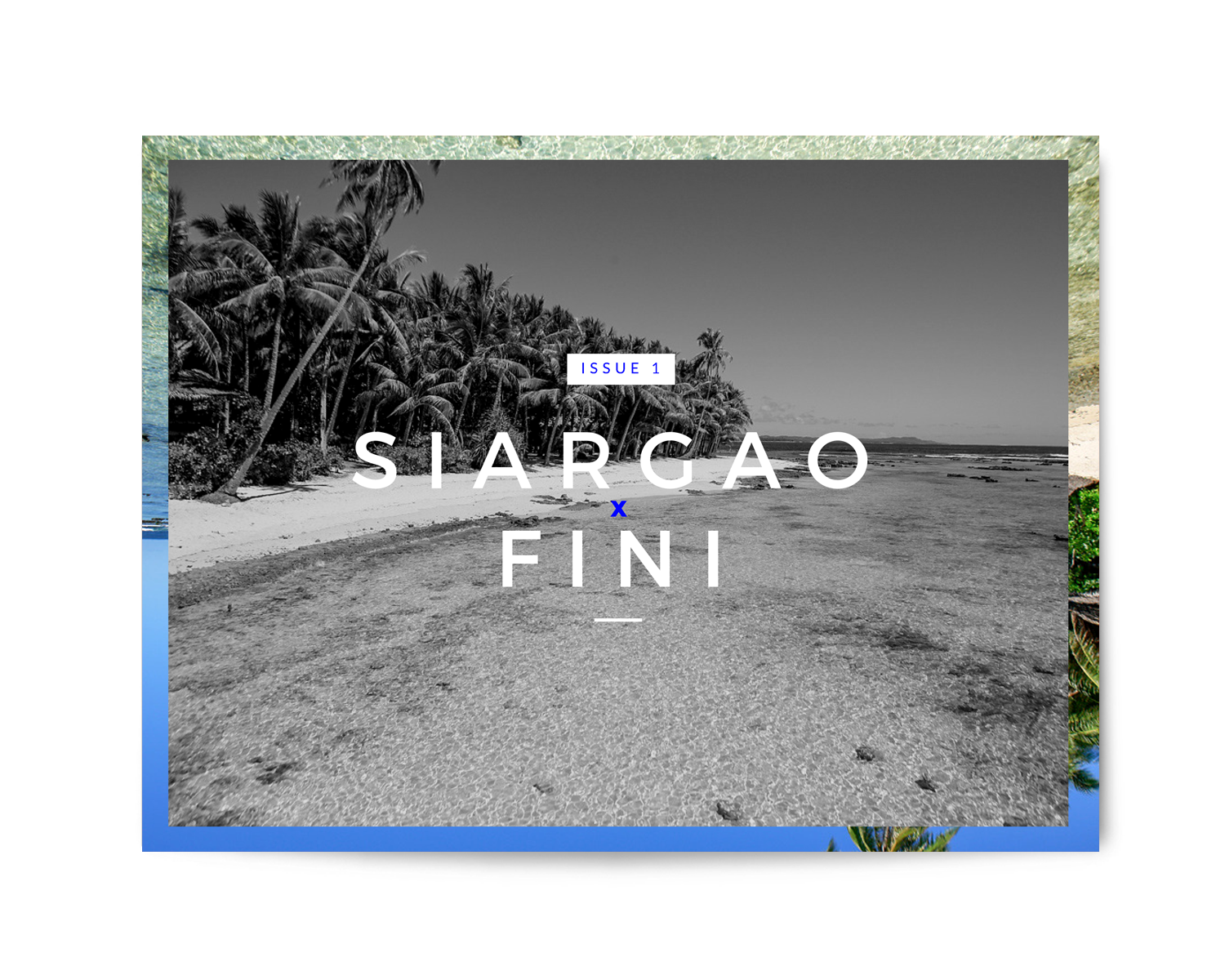 fini_001.png