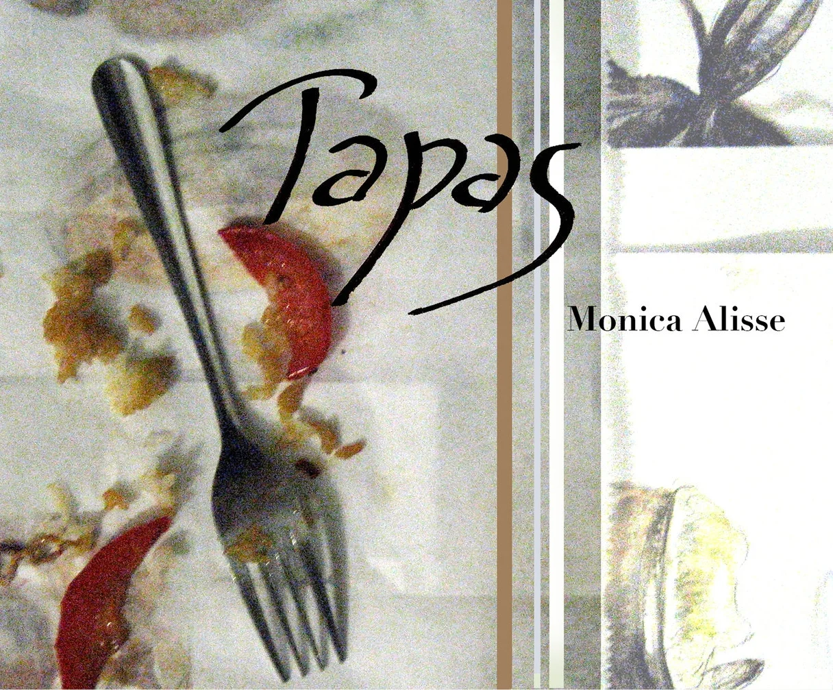 bookjacket2.jpg
