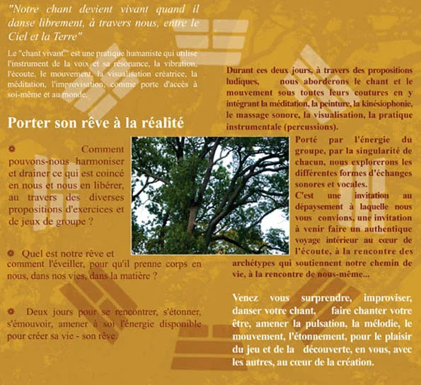 Stage Novembre 2.jpg