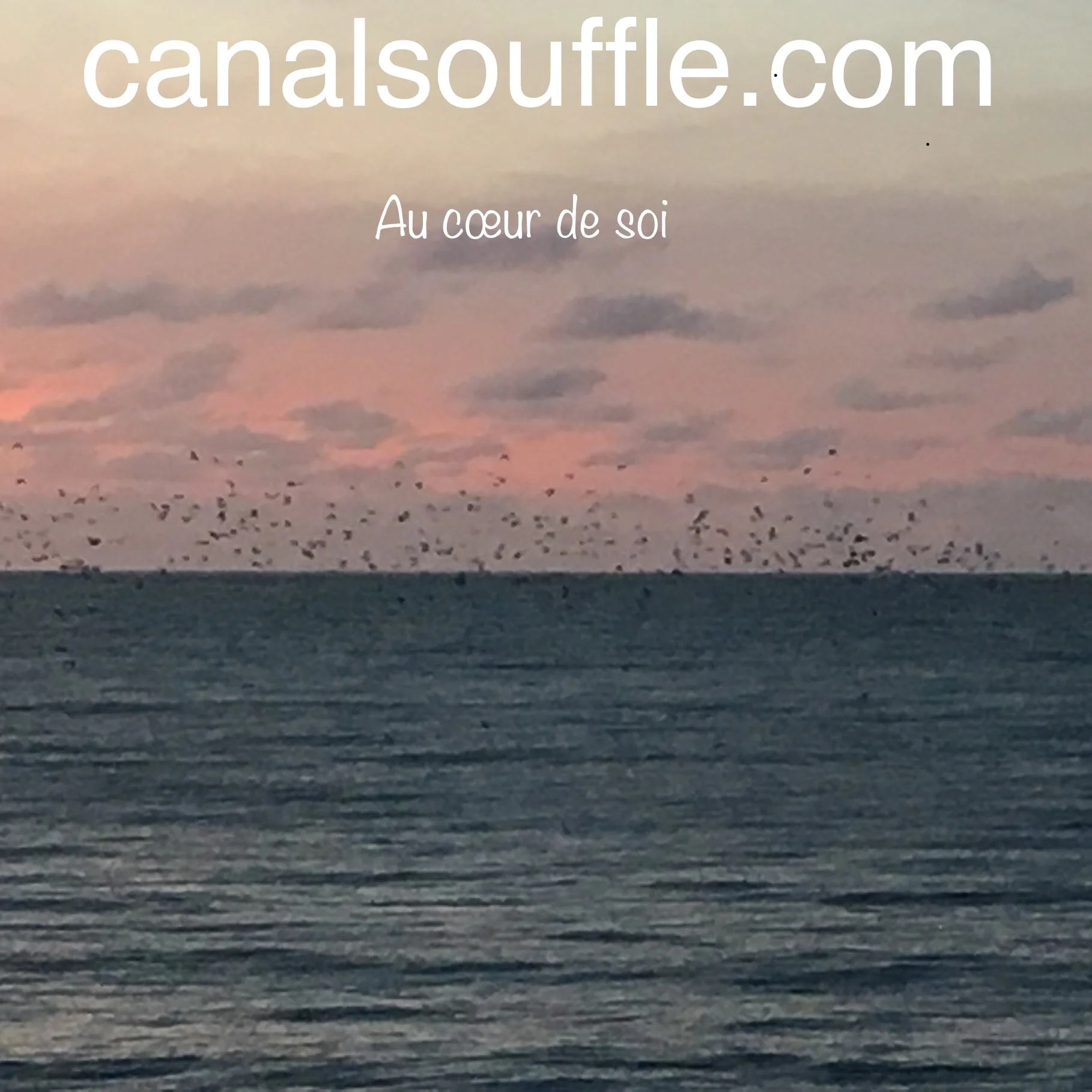 La force de la douceur 