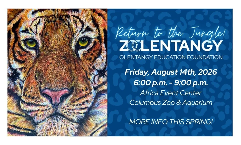 Zoolentangy: Return to the Jungle
