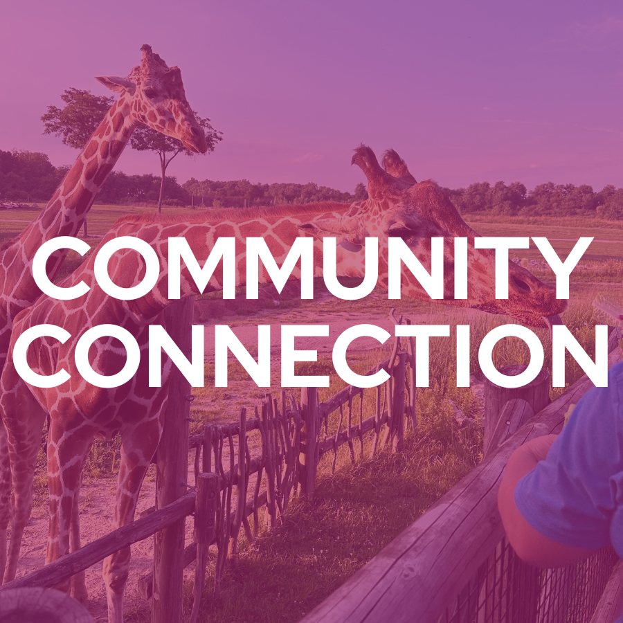 Community Connection